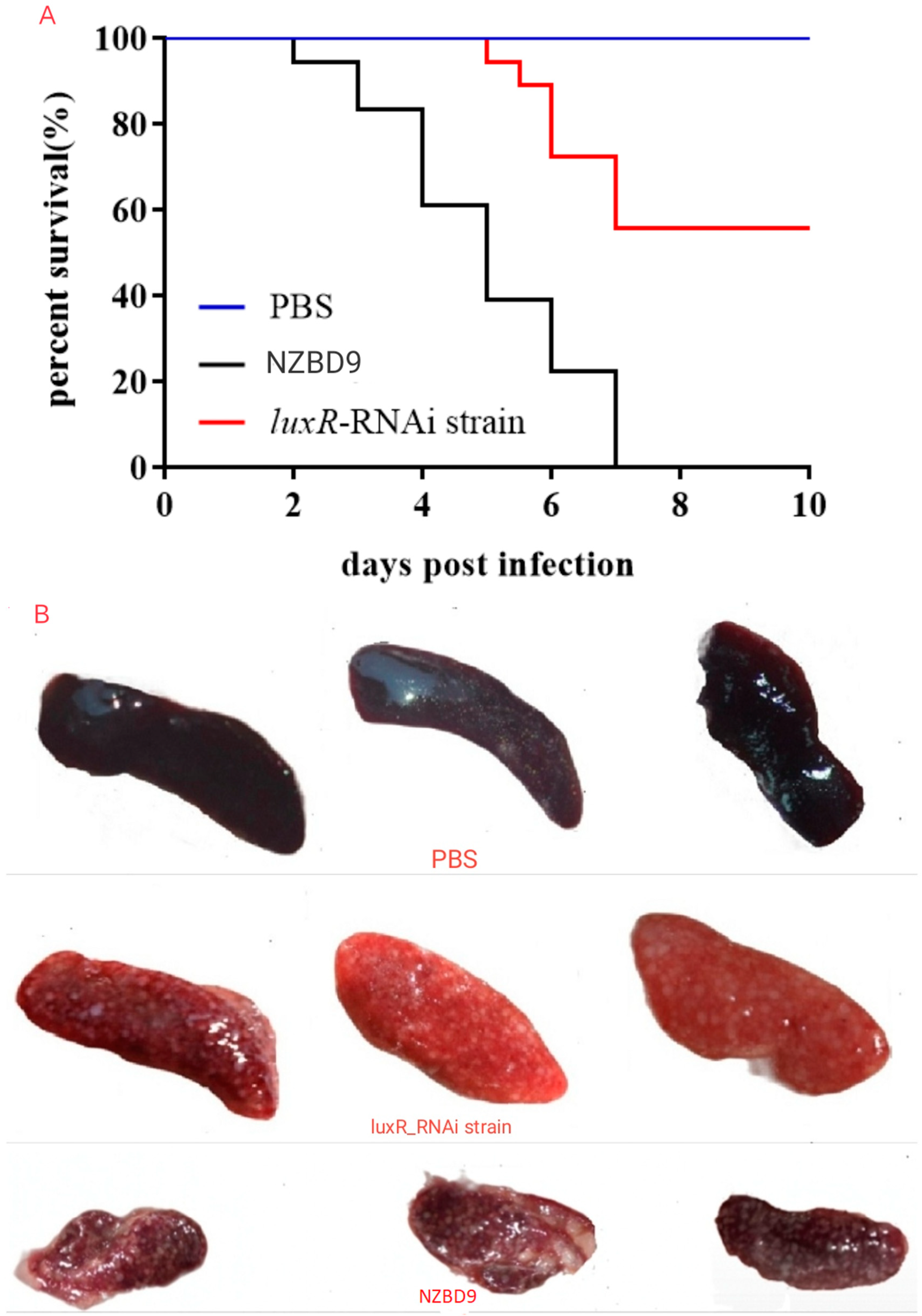 Fishes 08 00507 g002