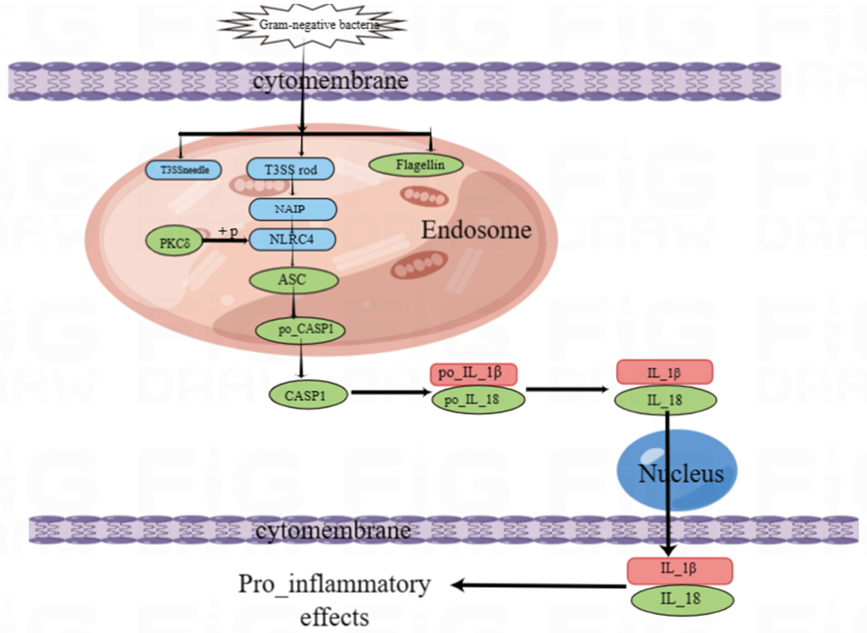Fishes 08 00507 g008