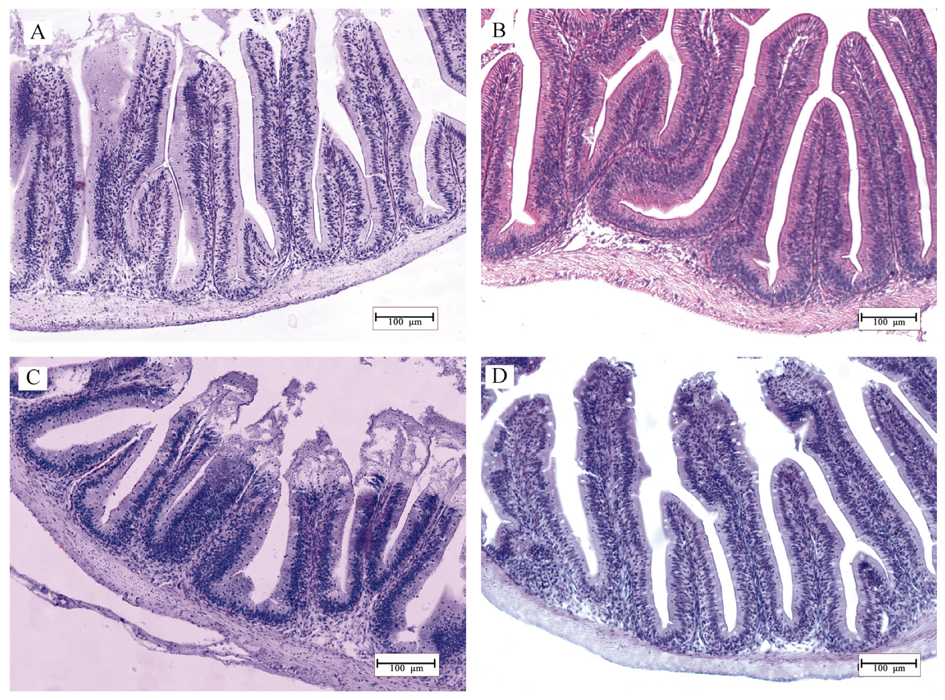 Fishes 08 00509 g003
