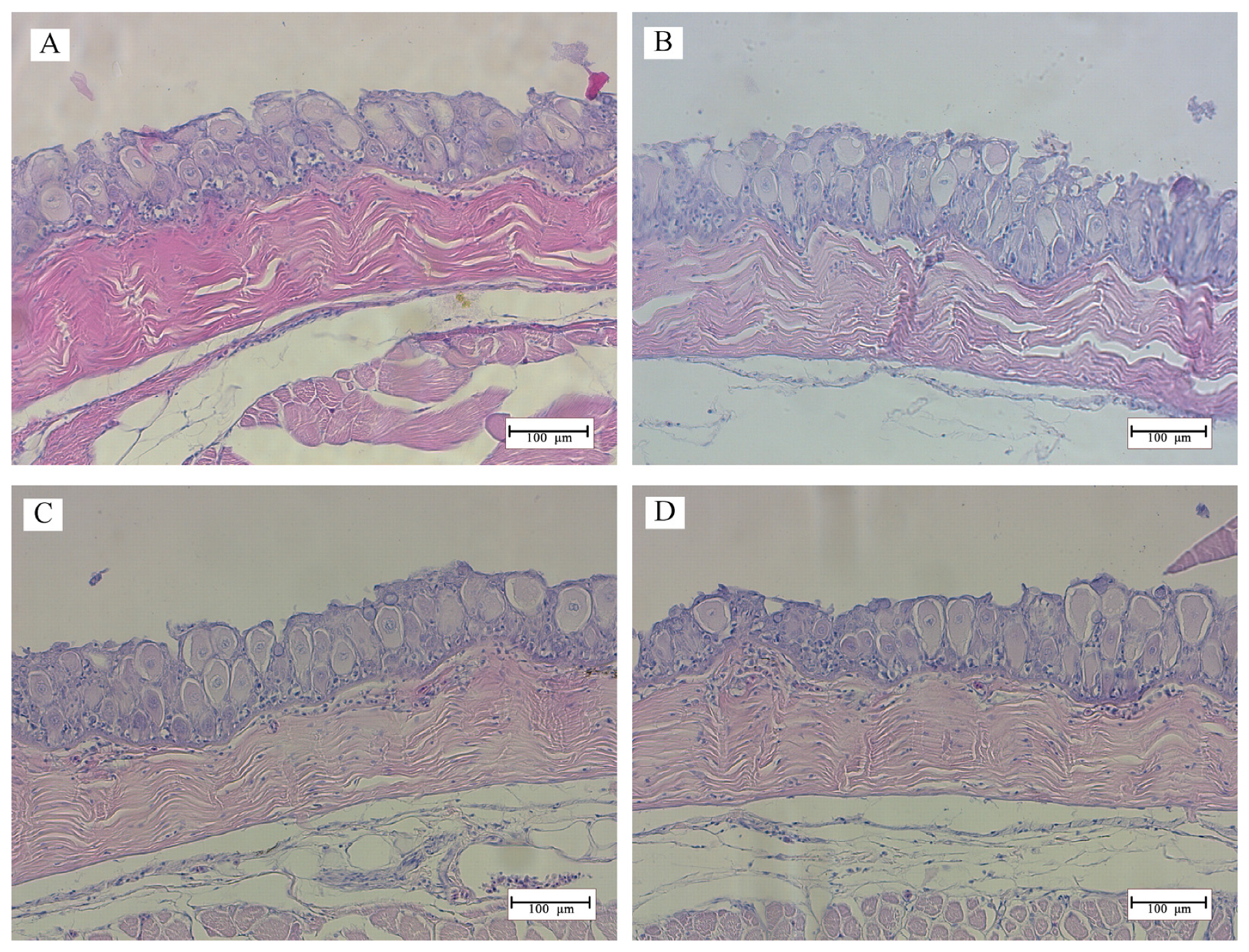 Fishes 08 00509 g004