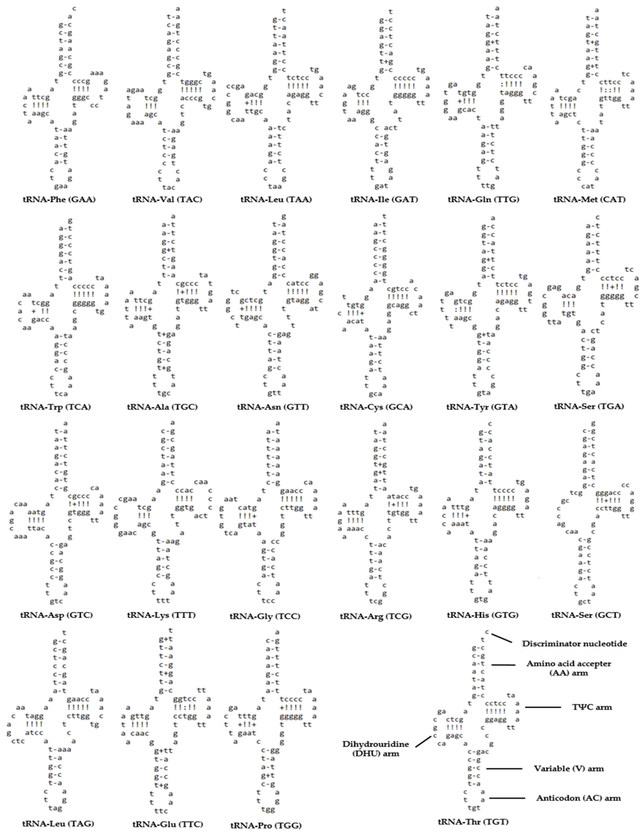 Fishes 08 00513 g003