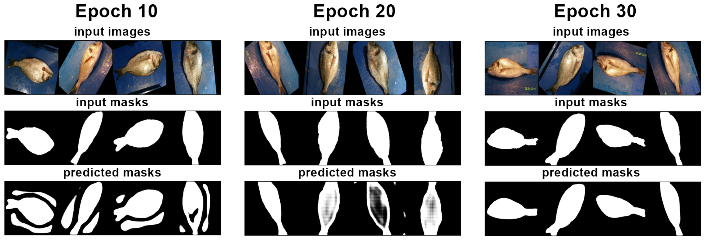 Fishes 08 00514 g004