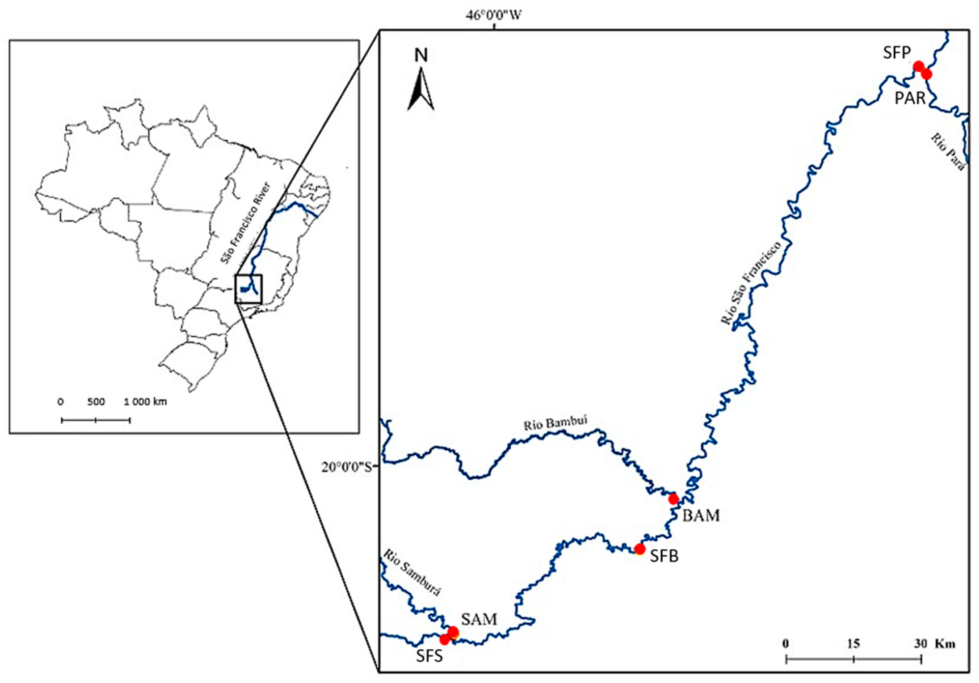 Fishes 08 00518 g001