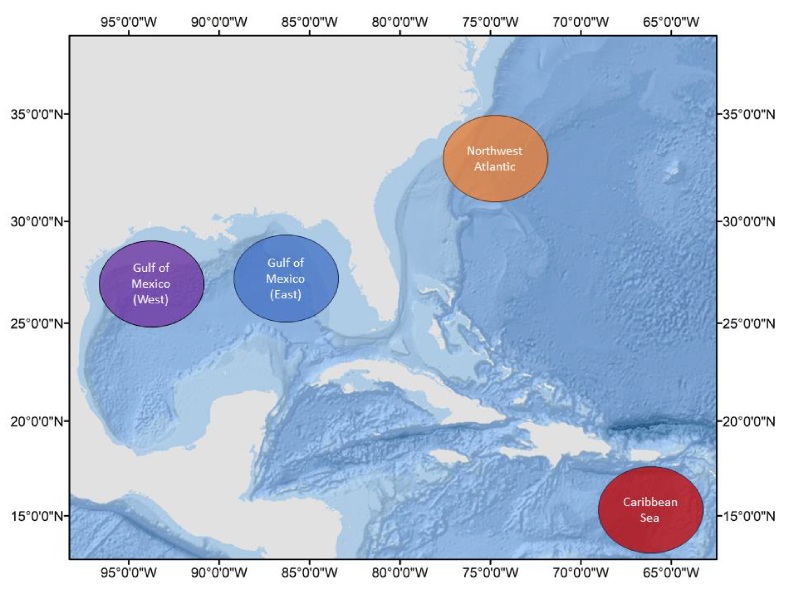 PDF) Latitudinal patterns in trophic structure of temperate reef