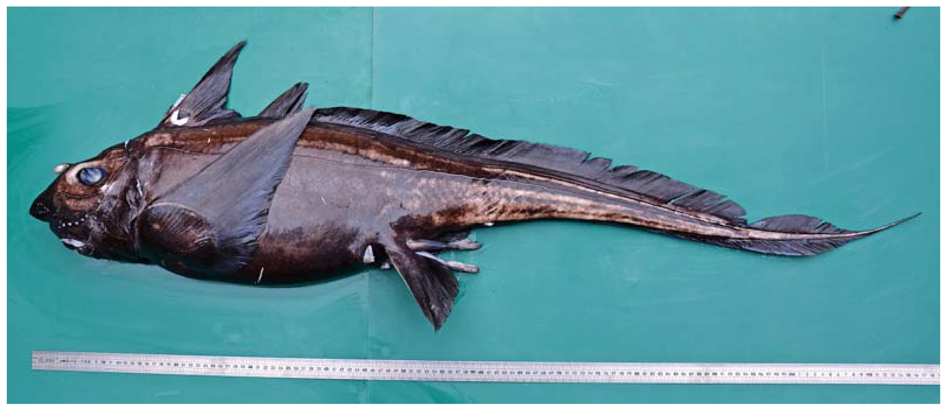 Fishes 08 00522 g005