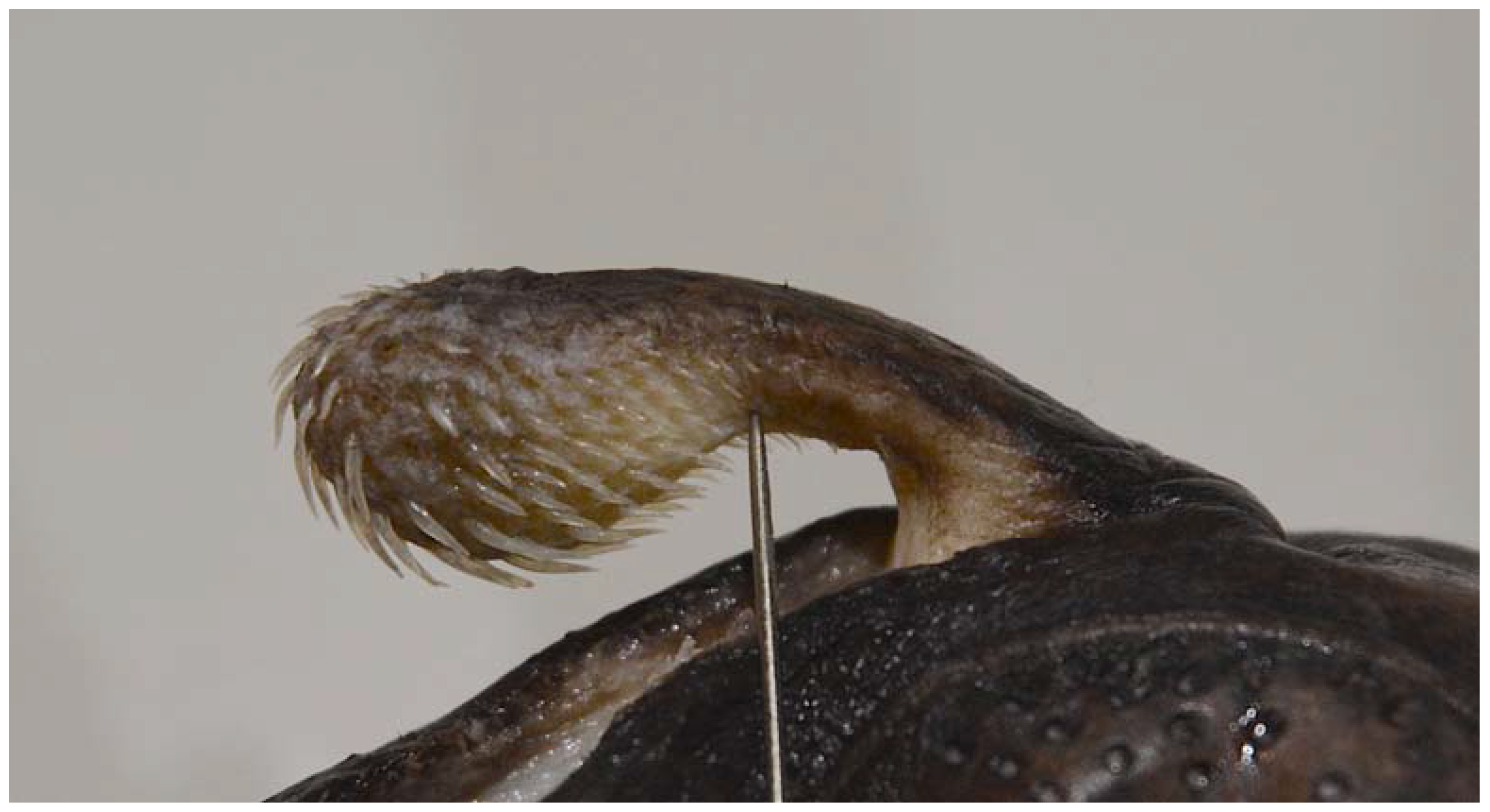 Fishes 08 00522 g013