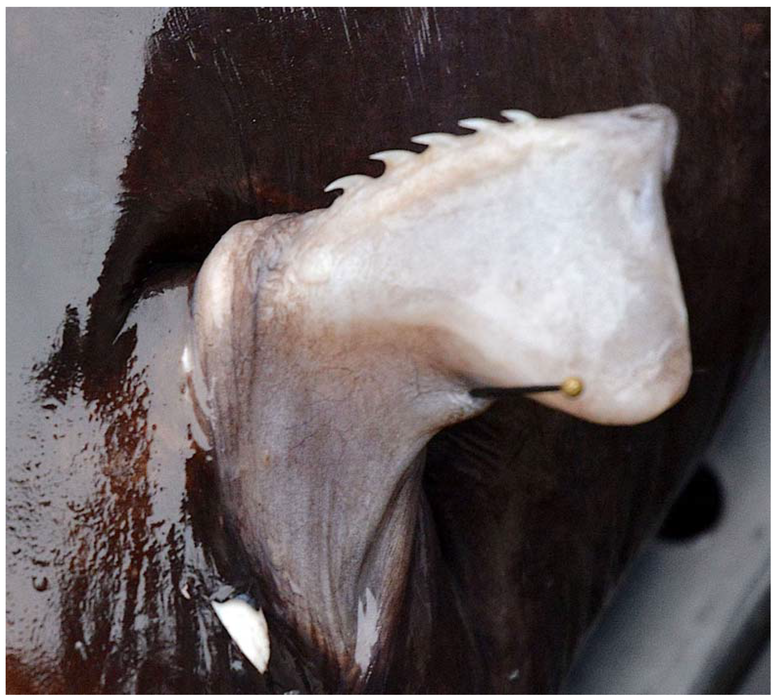 Fishes 08 00522 g014