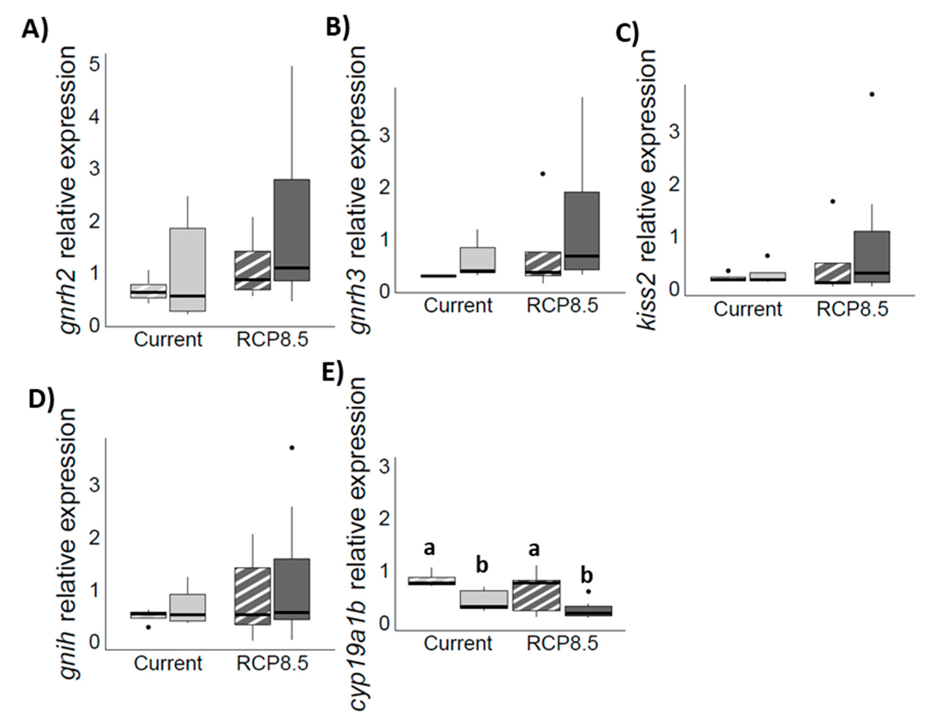 Fishes 08 00523 g004