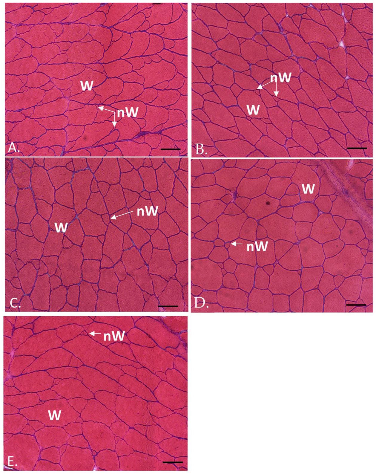 Fishes 08 00532 g001