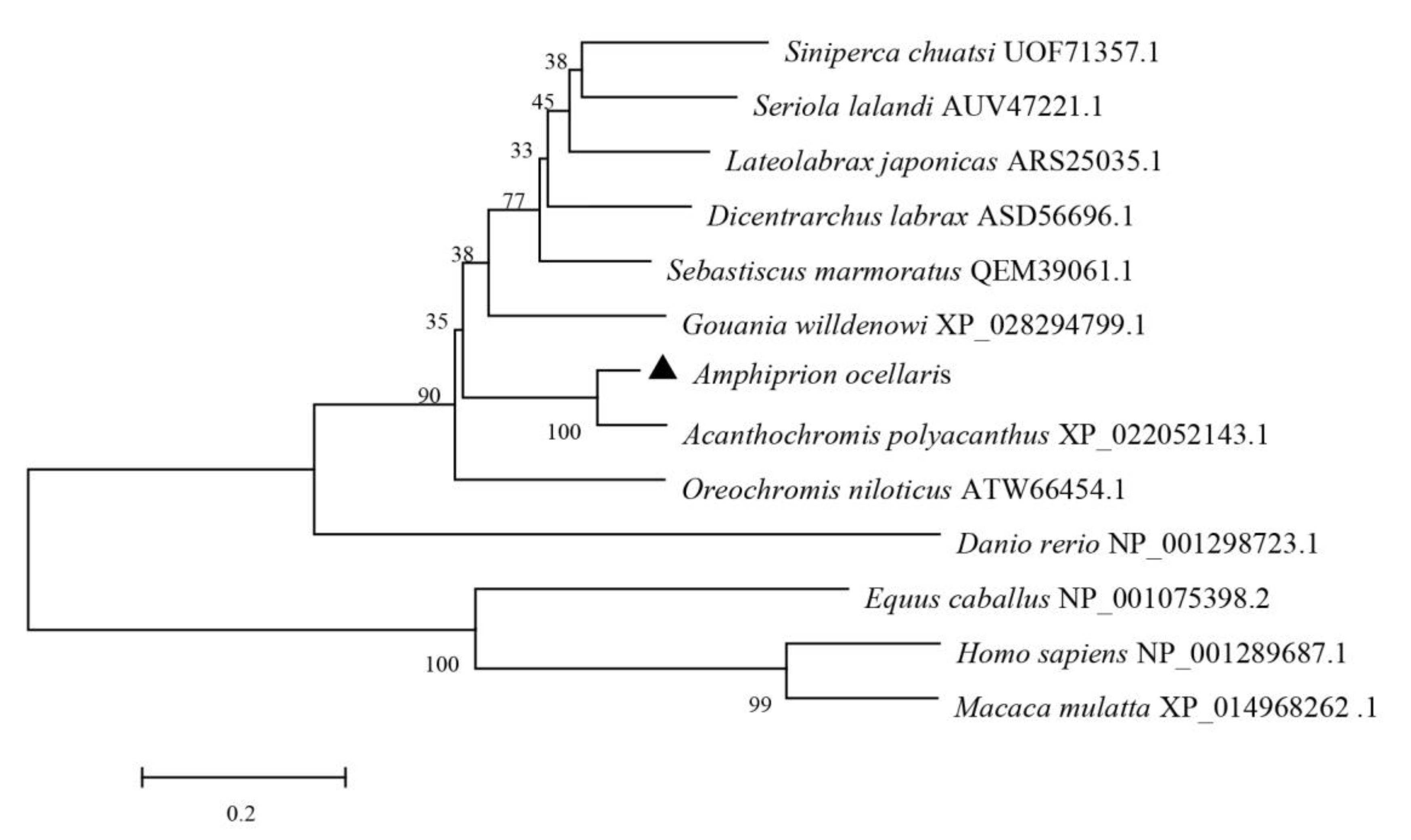 Fishes 08 00533 g003 Fishes 08 00533 g003