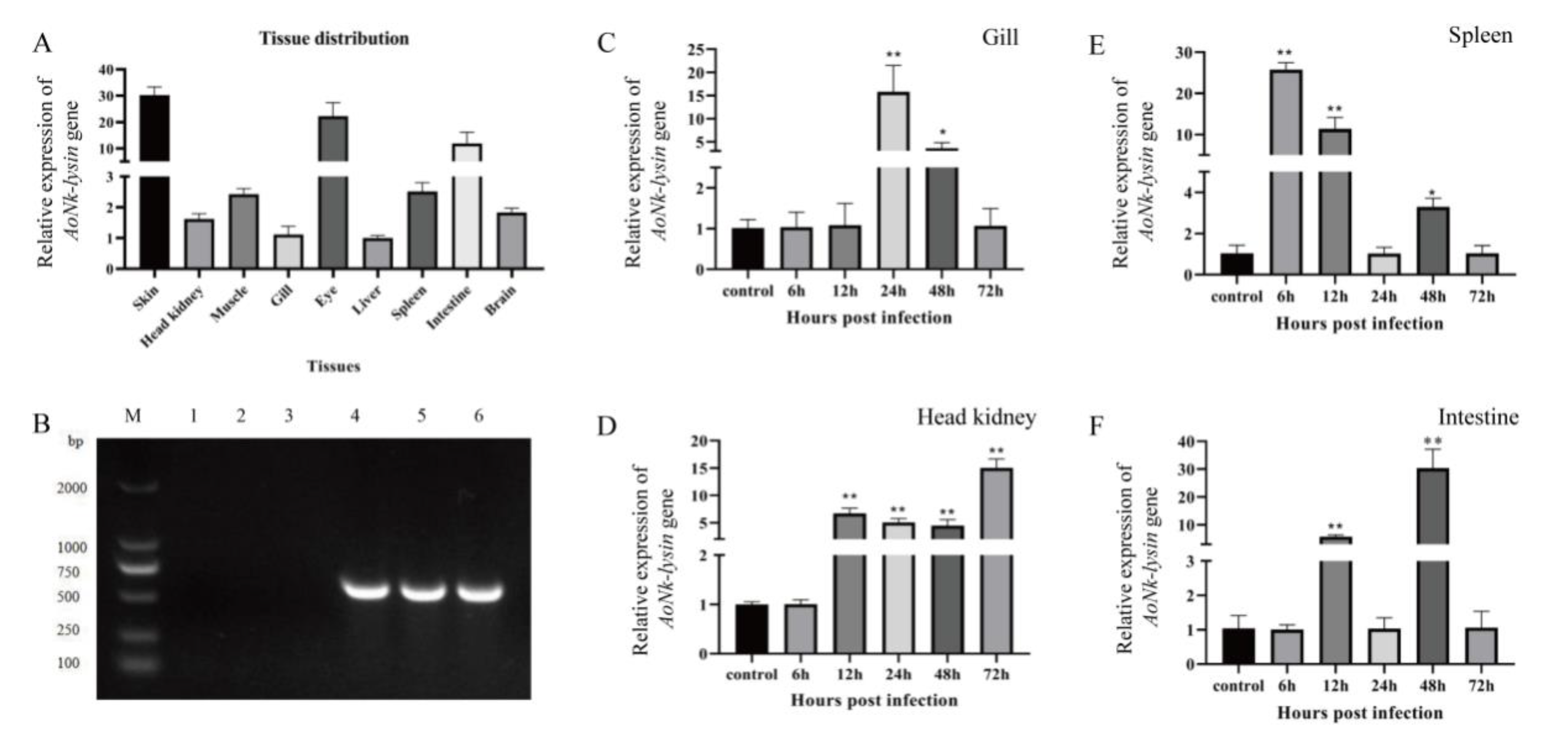 Fishes 08 00533 g004 Fishes 08 00533 g004