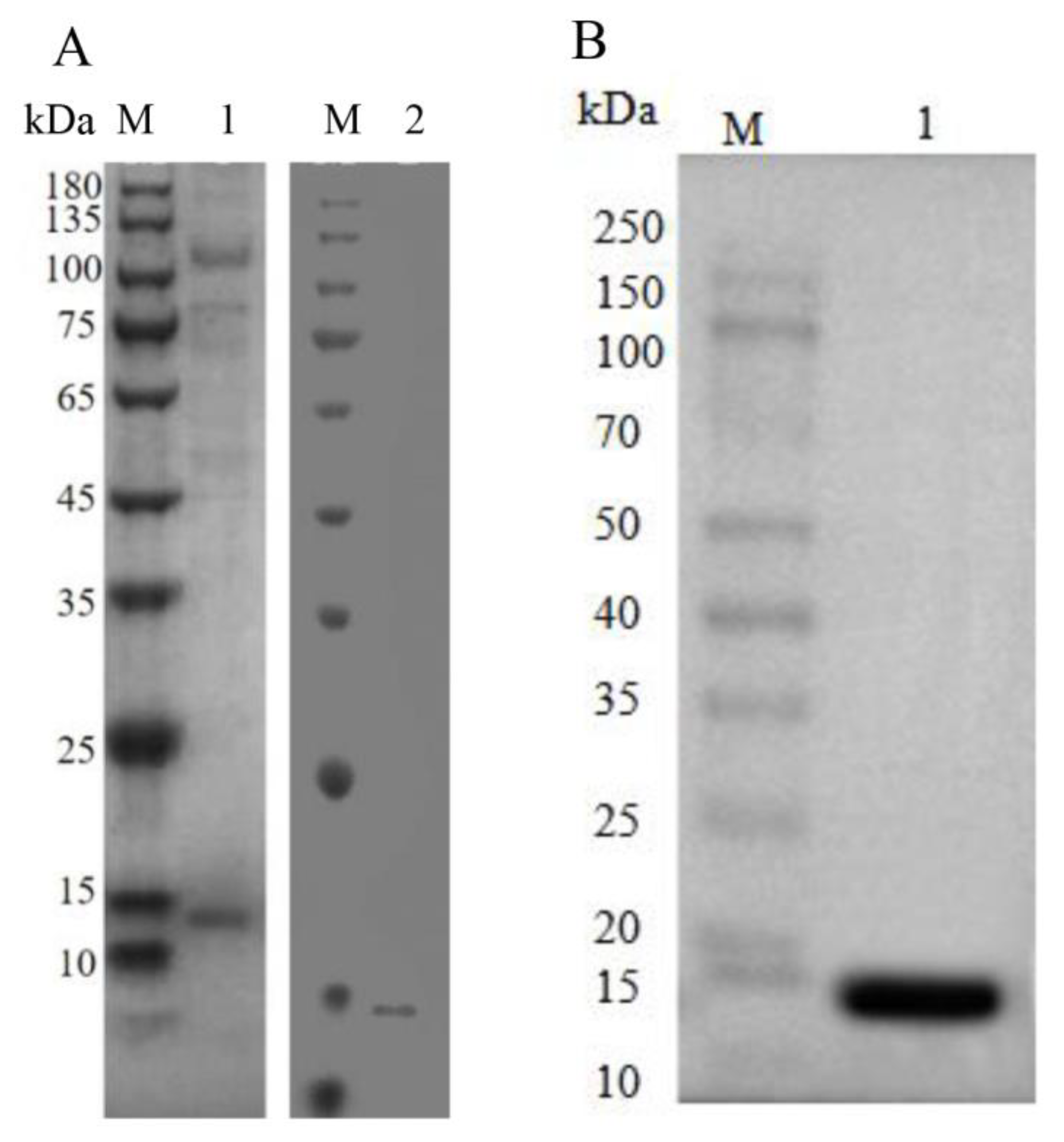 Fishes 08 00533 g005 Fishes 08 00533 g005