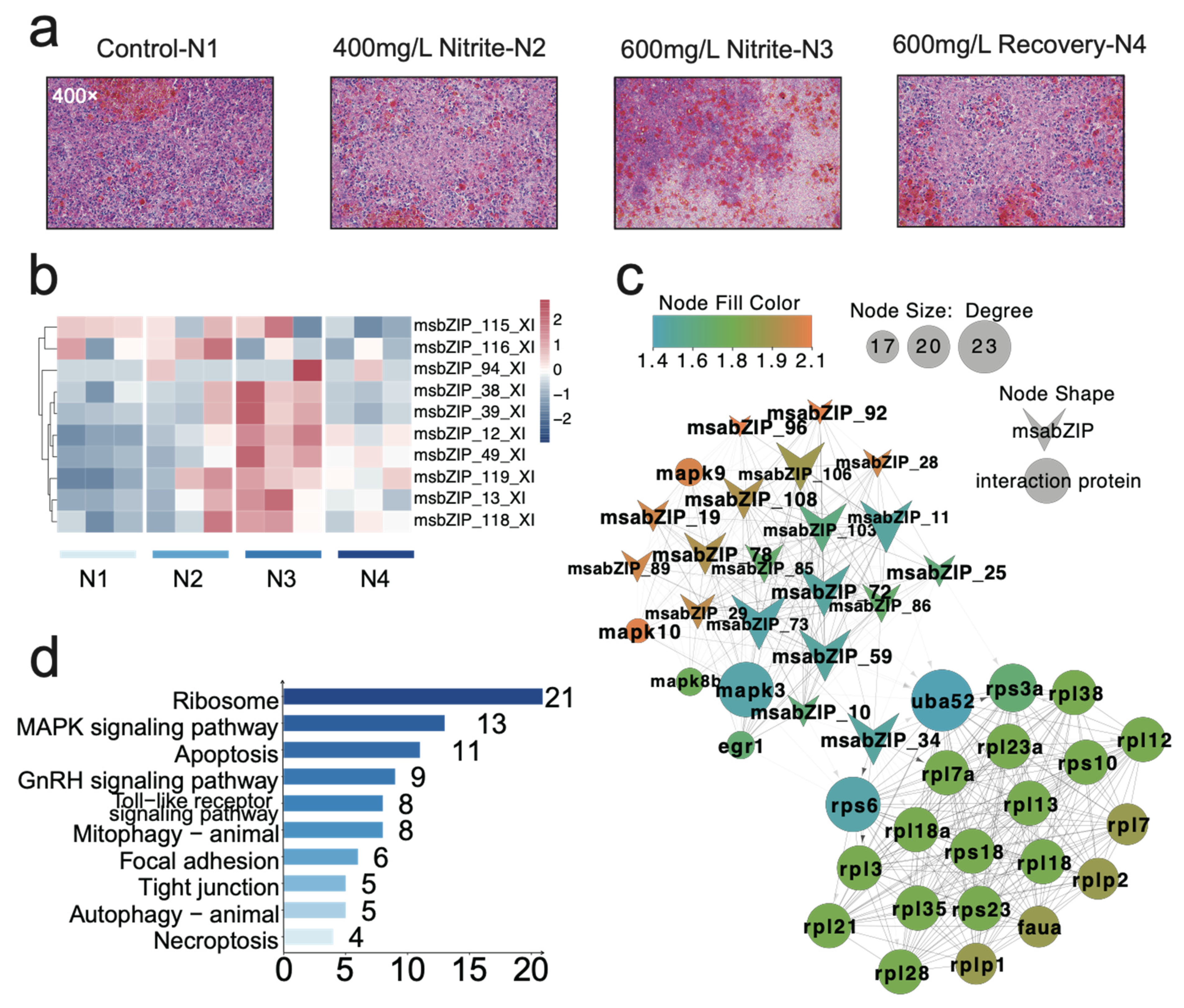 Fishes 08 00540 g003
