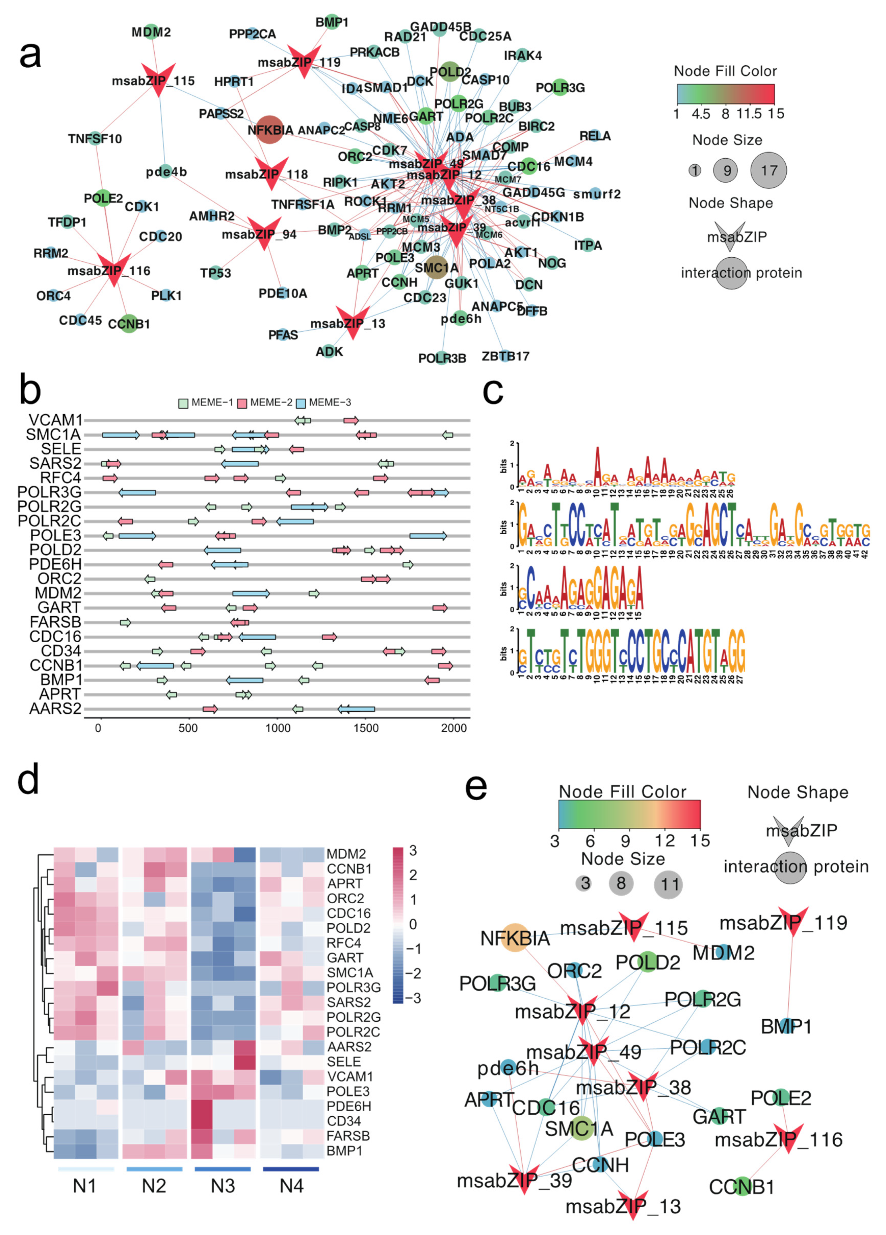 Fishes 08 00540 g007