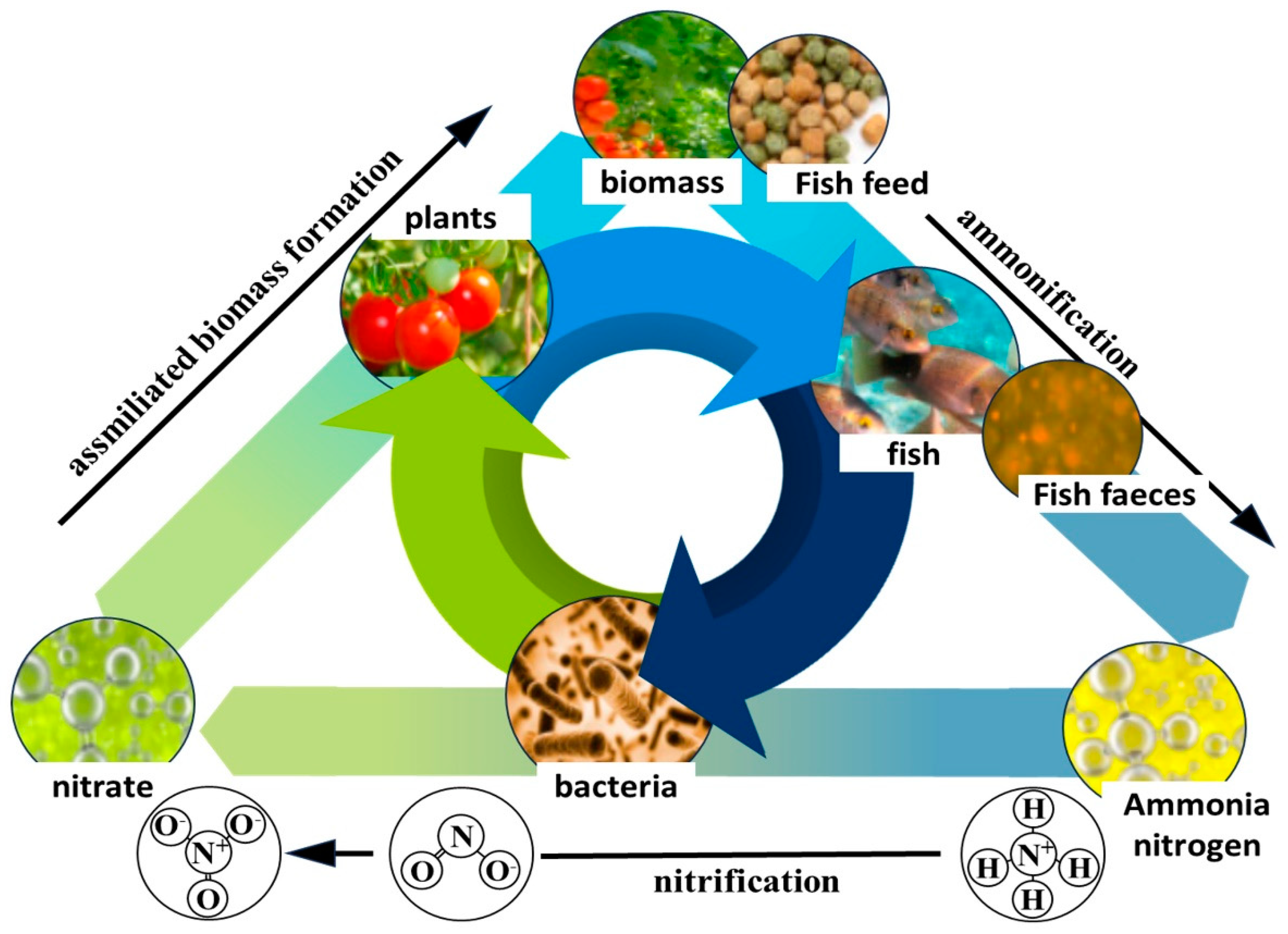 Fishes 08 00543 g001