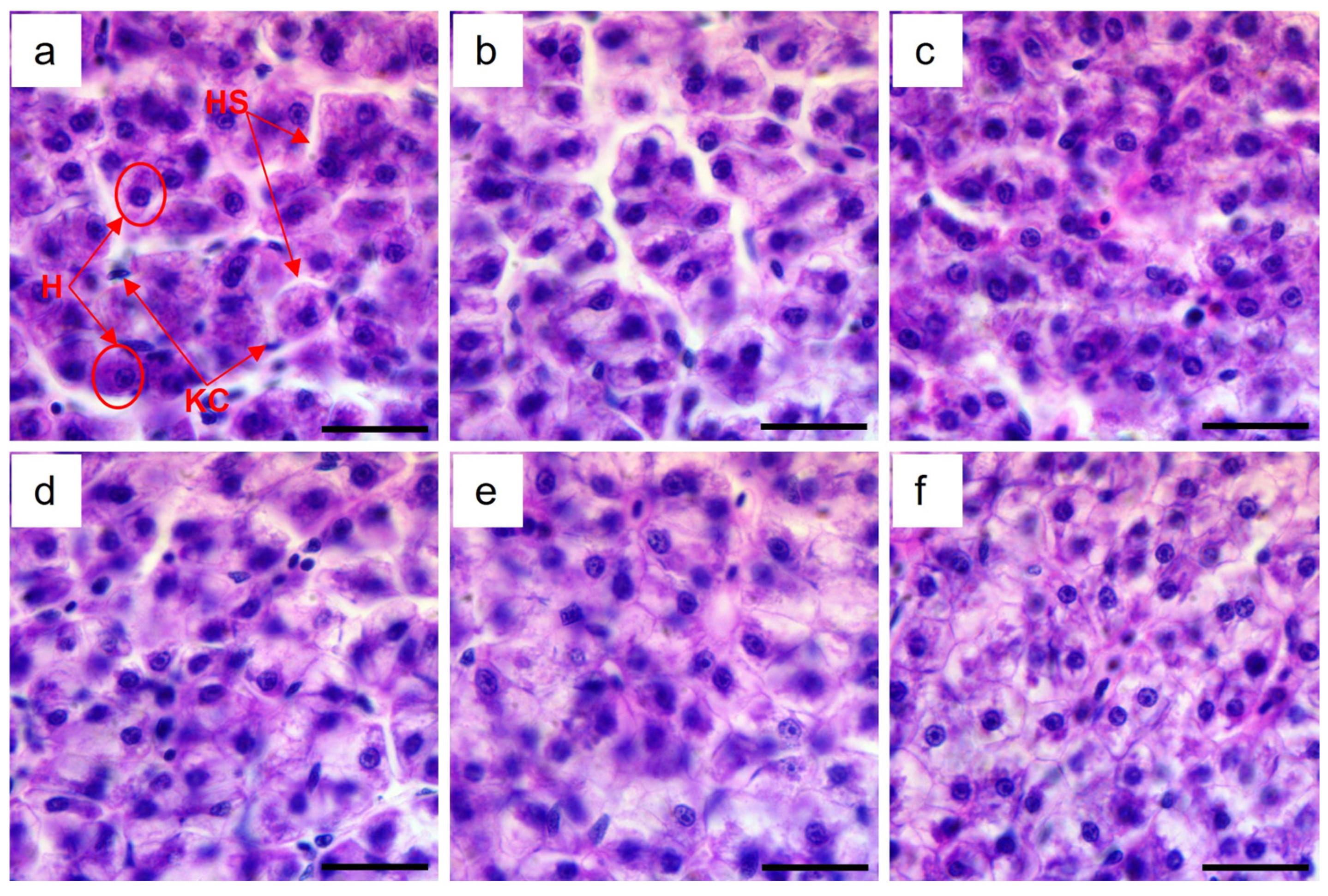 Fishes 08 00546 g001