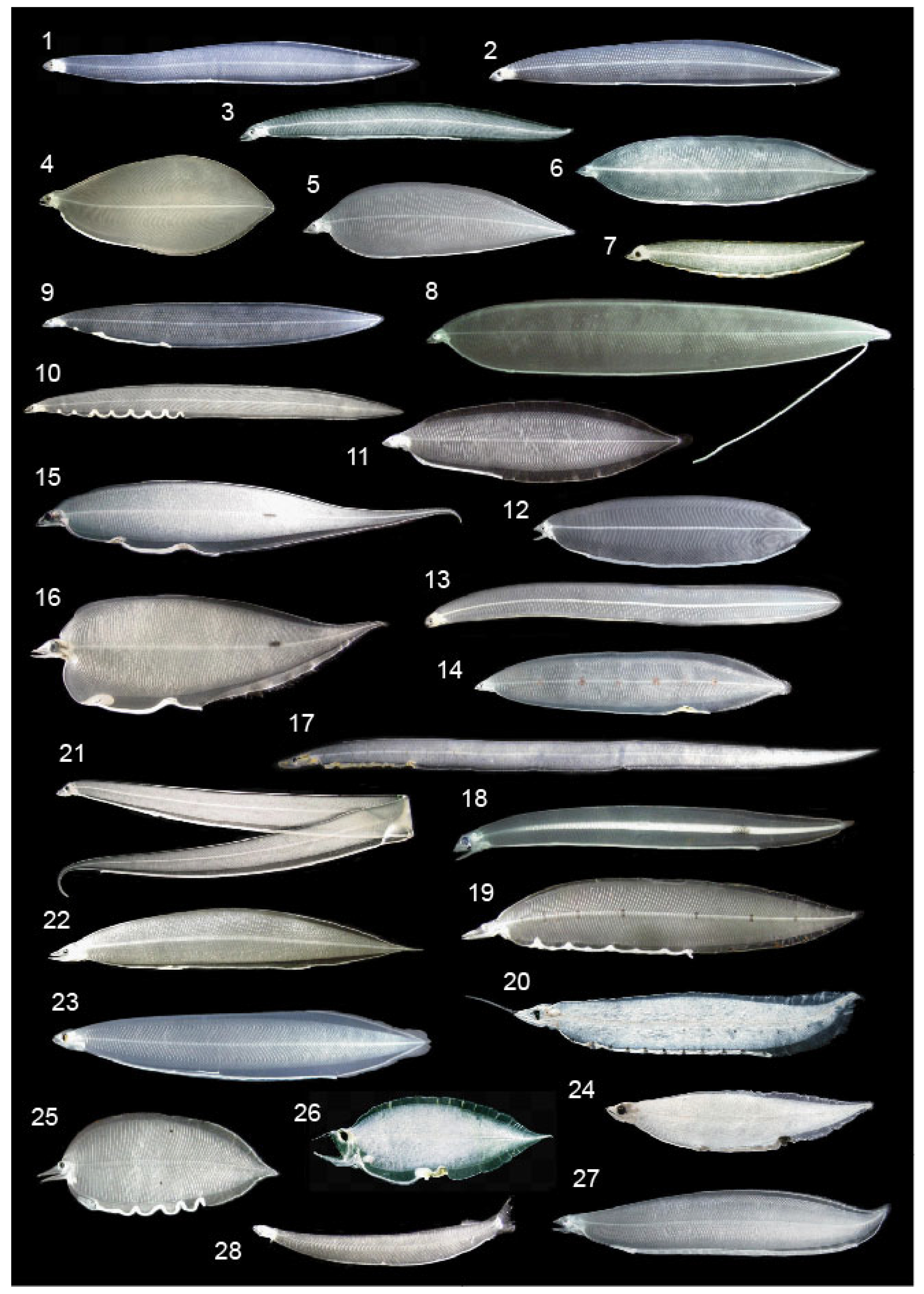 Fishes 08 00548 g002