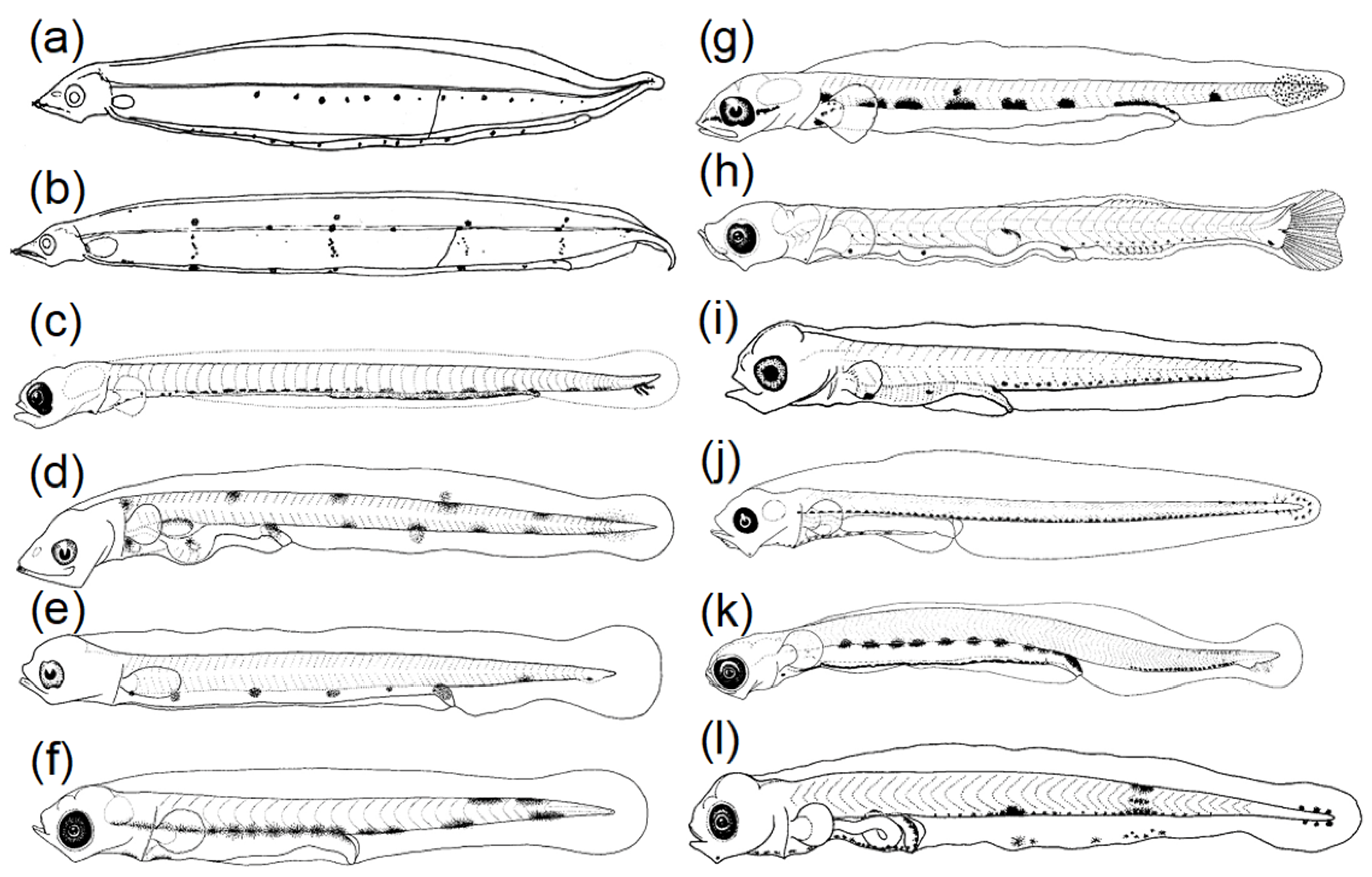 Fishes 08 00548 g005