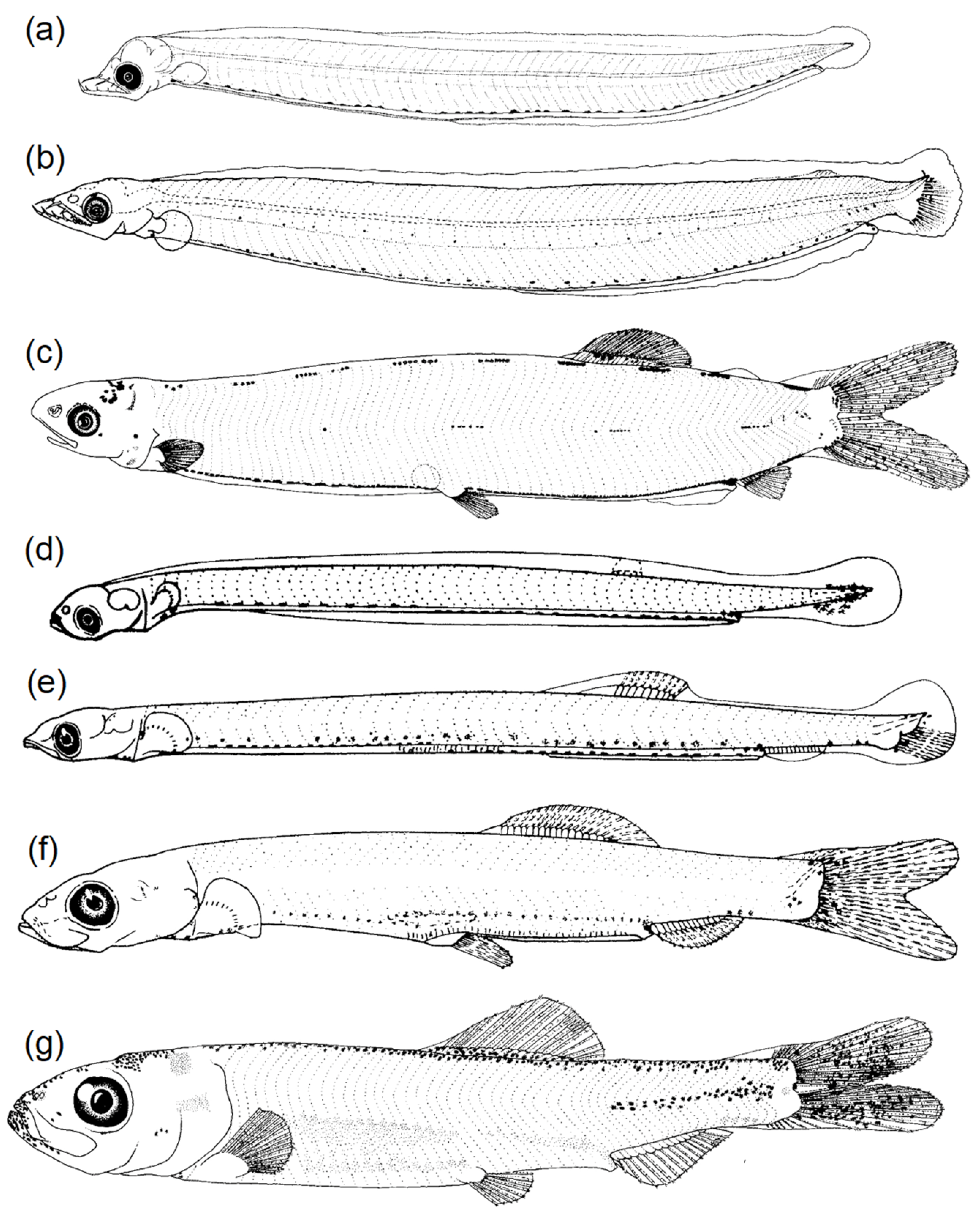 Fishes 08 00548 g006