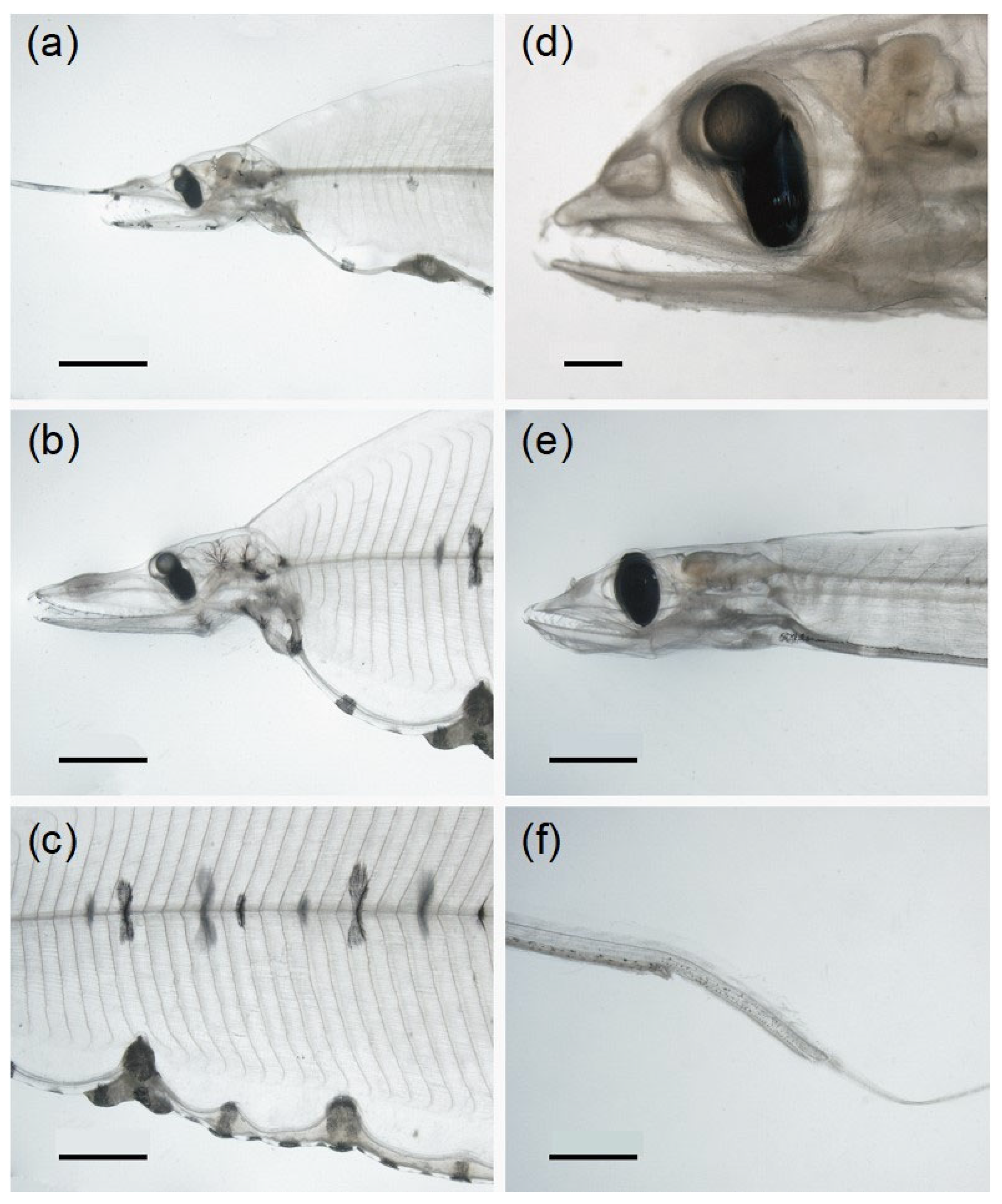 Fishes 08 00548 g010