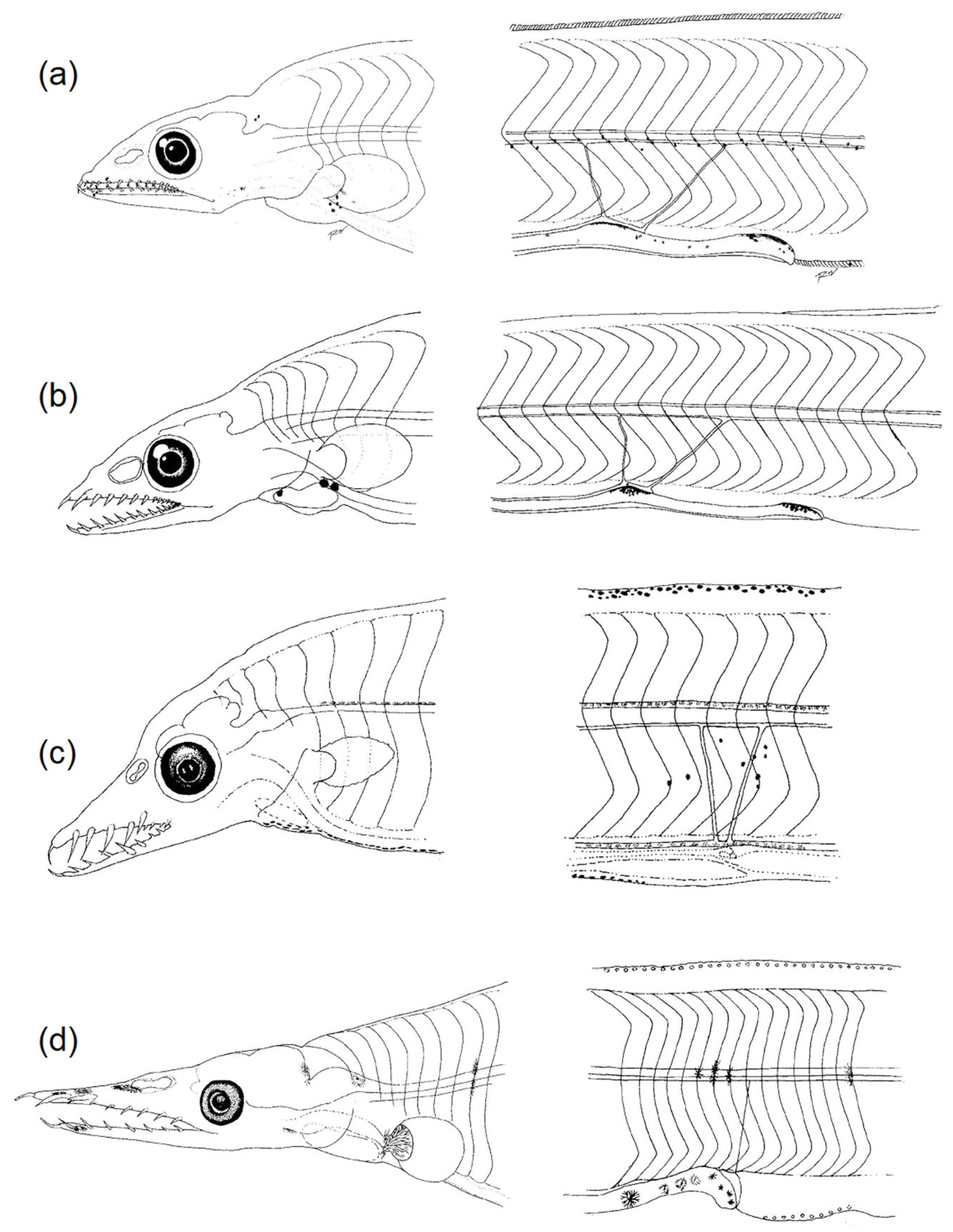 Fishes 08 00548 g011