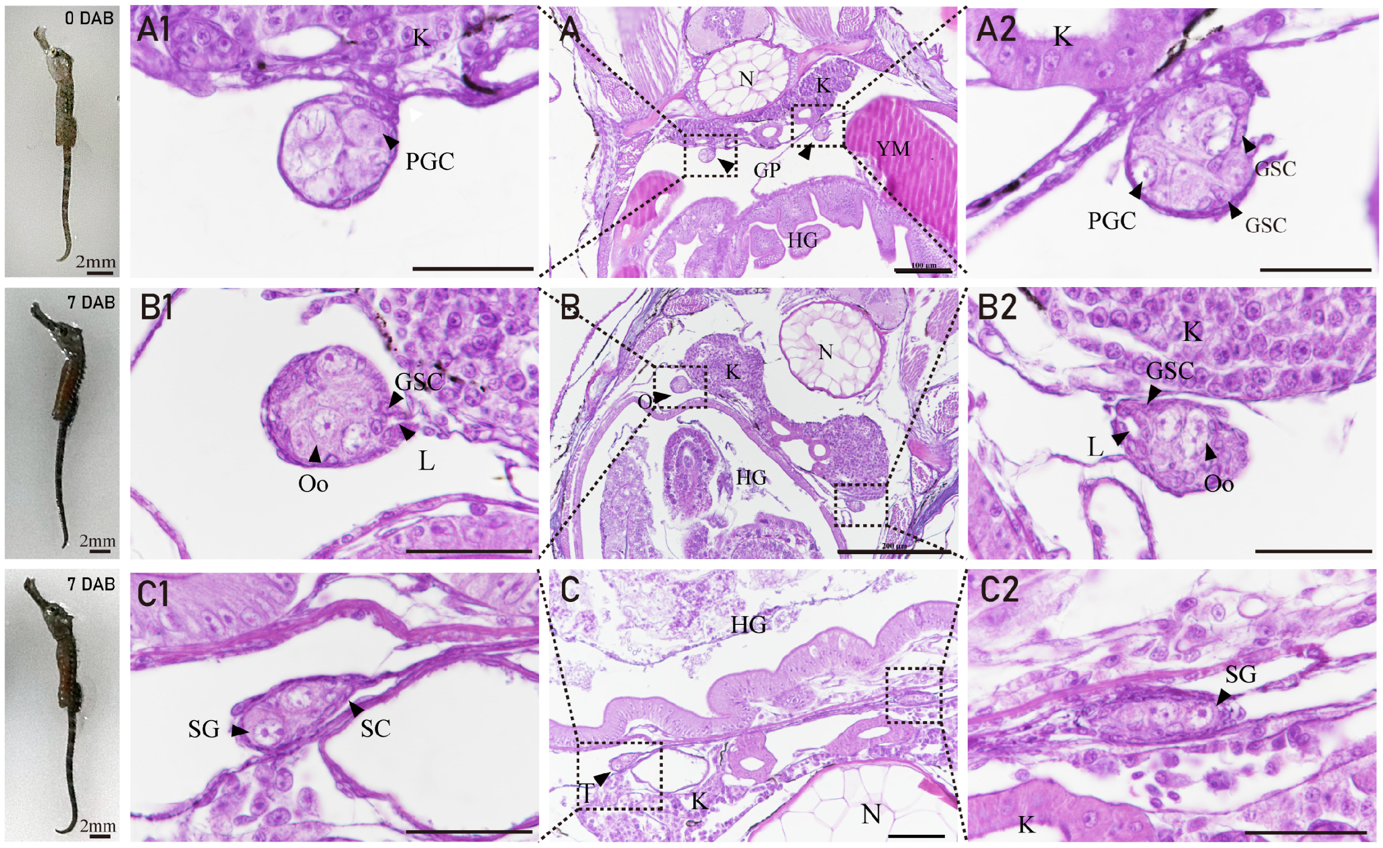 Fishes 08 00551 g002