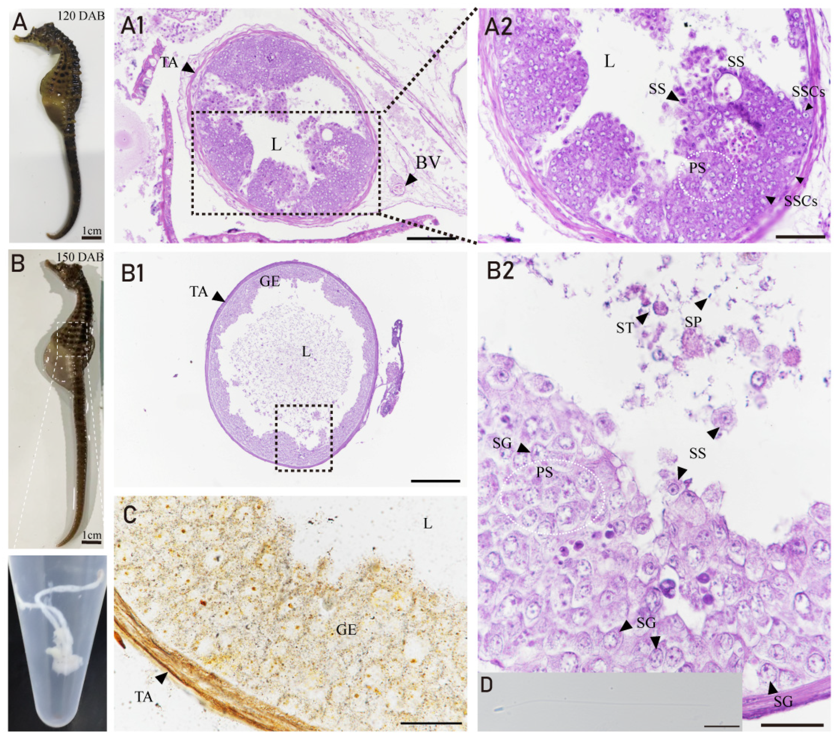 Fishes 08 00551 g006