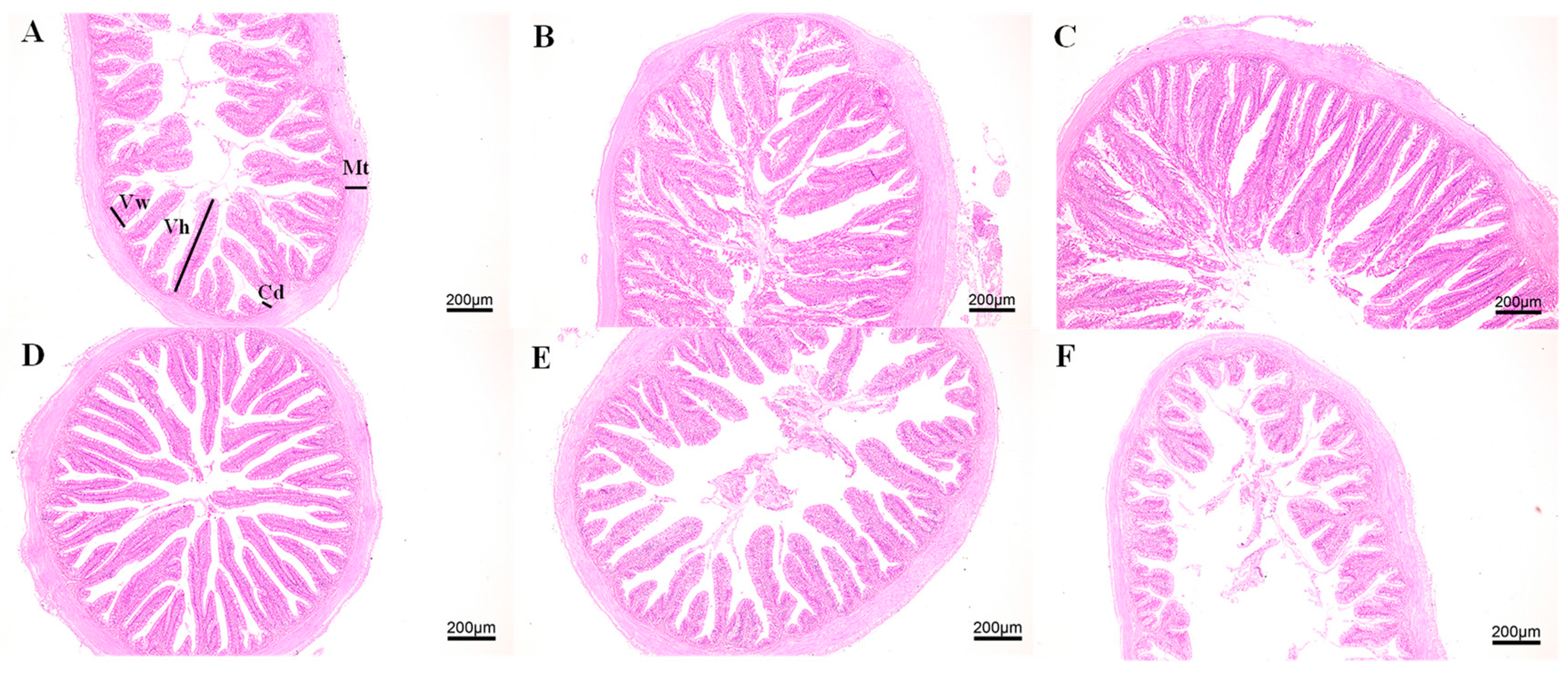 Fishes 08 00555 g001