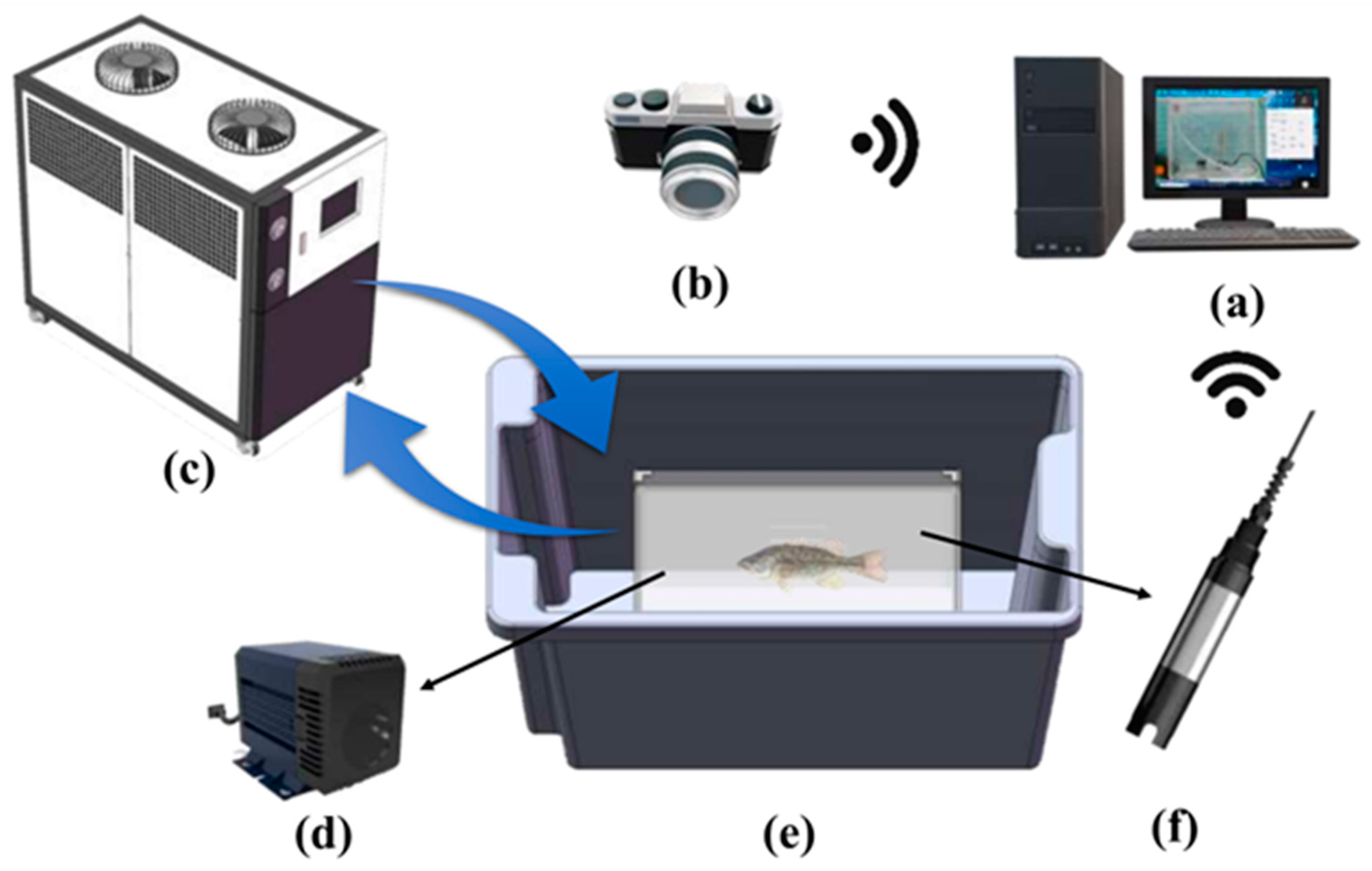 Fishes 08 00565 g001