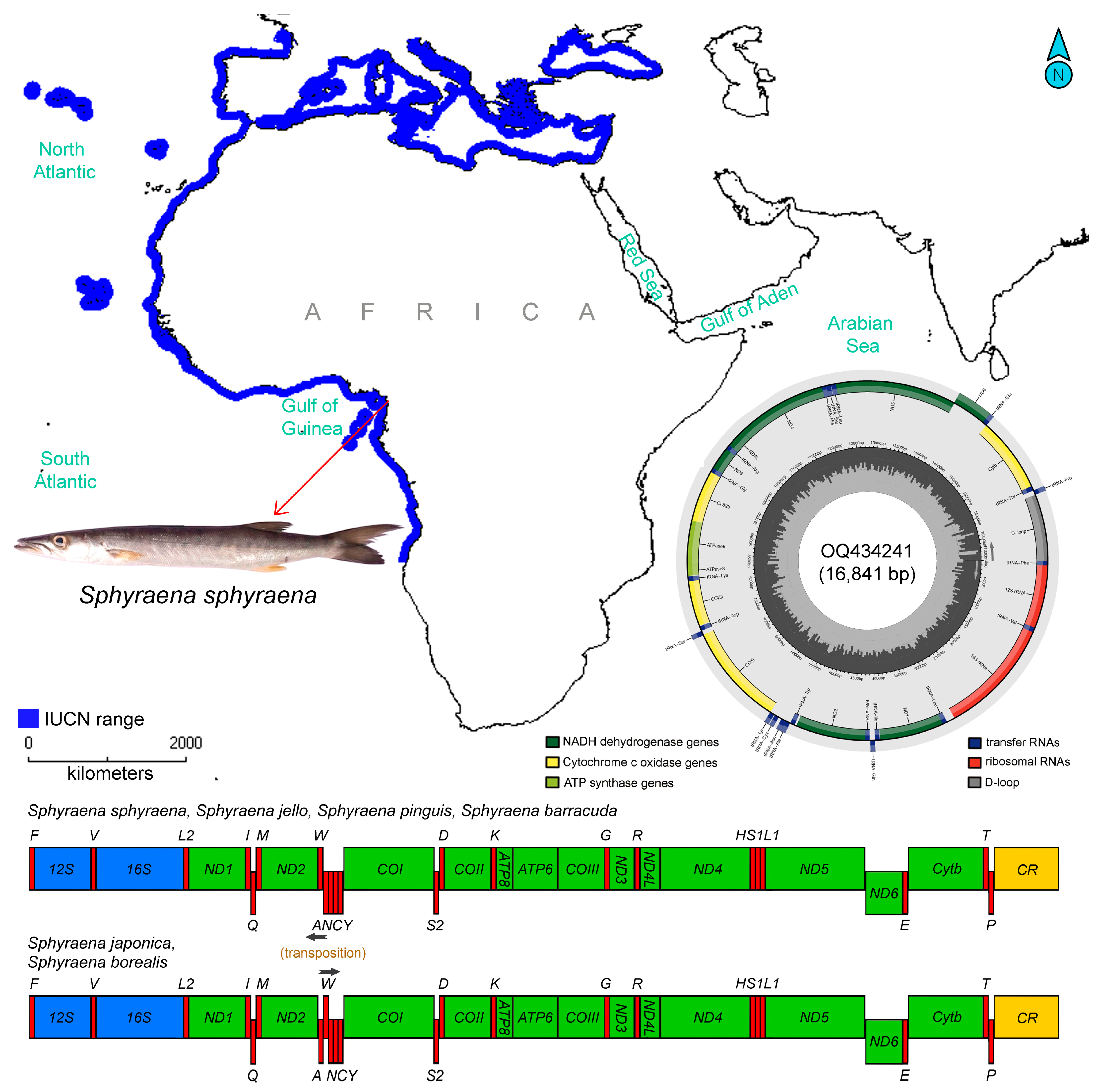Fishes 08 00573 g001