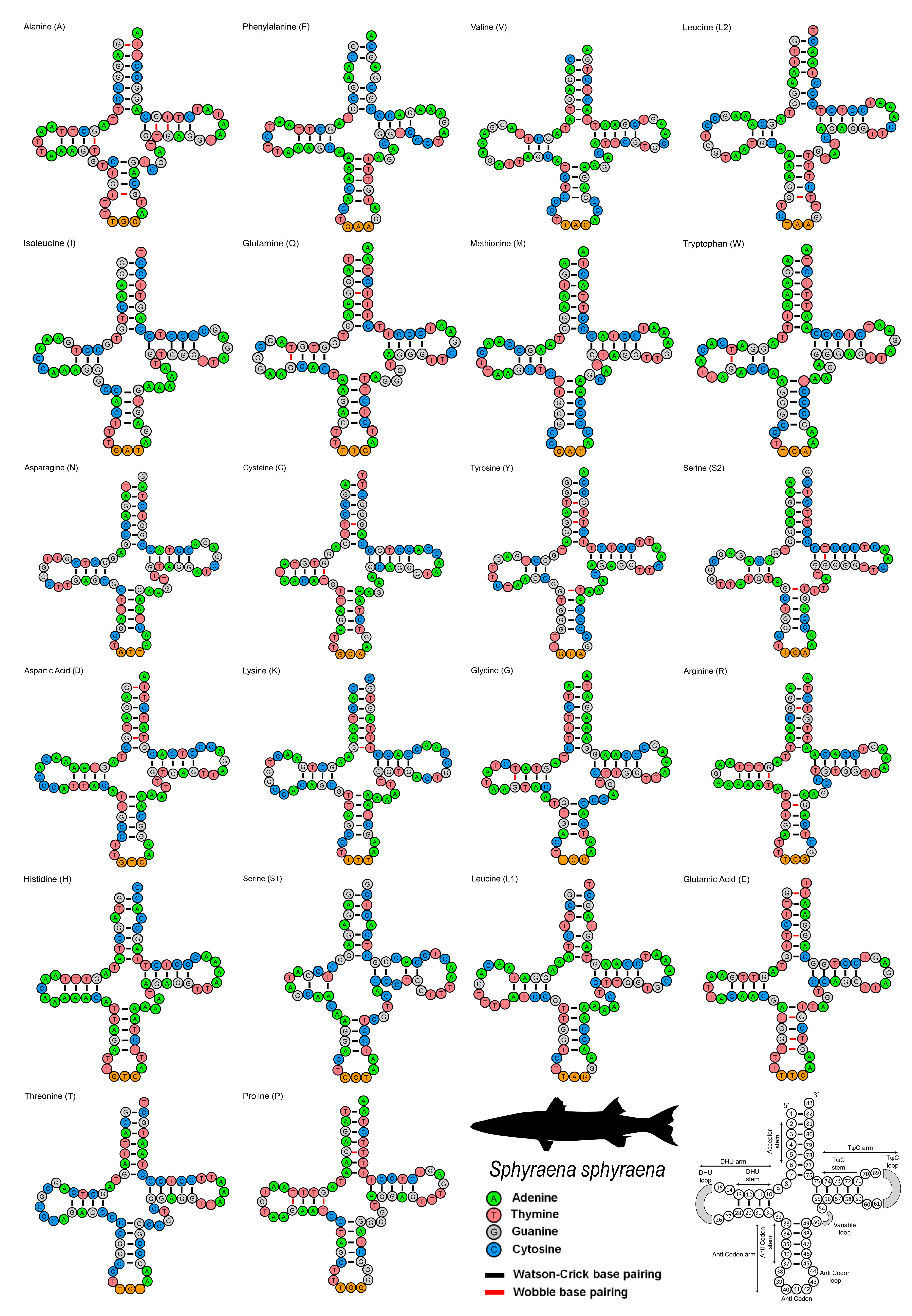 Fishes 08 00573 g003