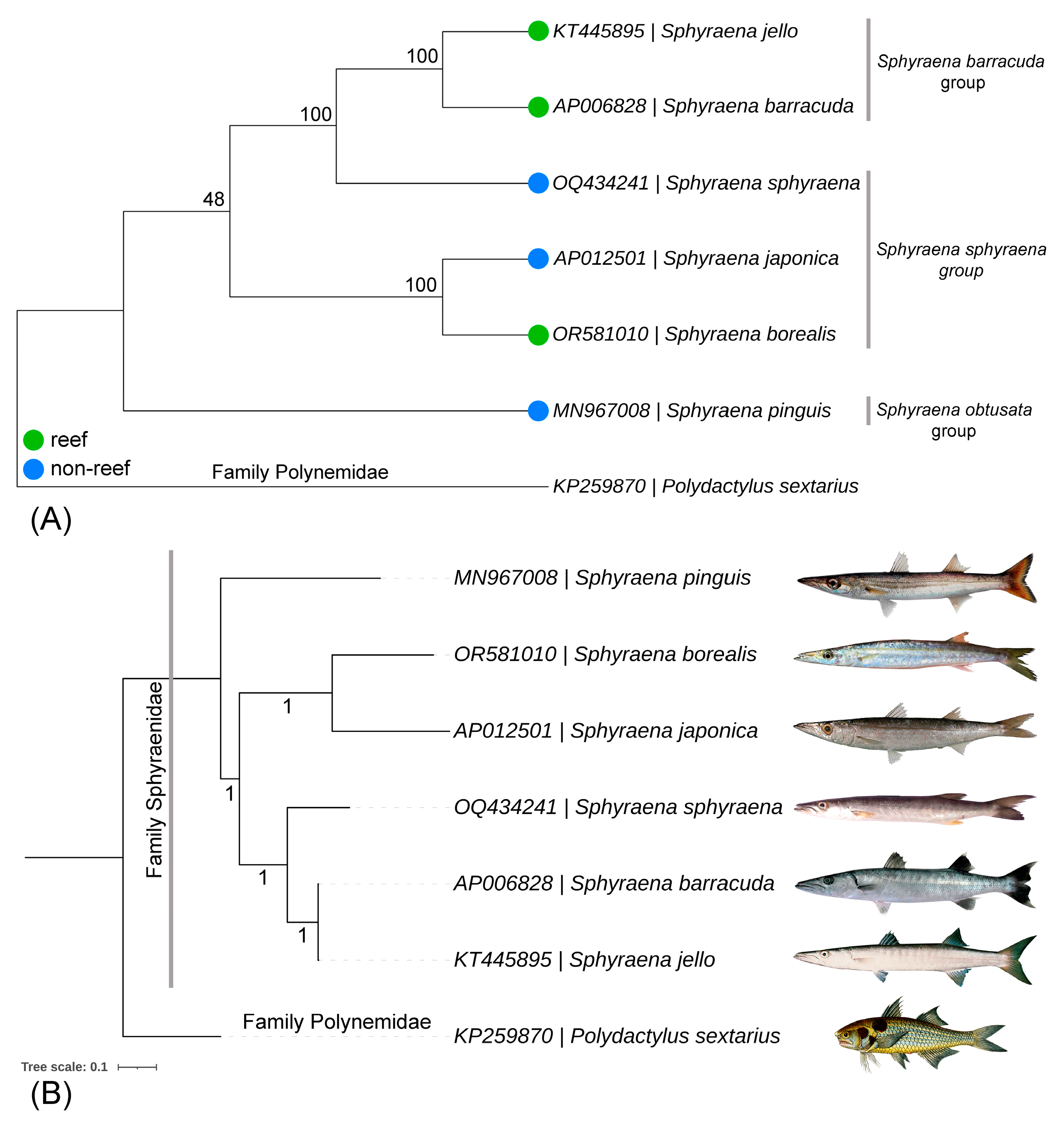 Fishes 08 00573 g005