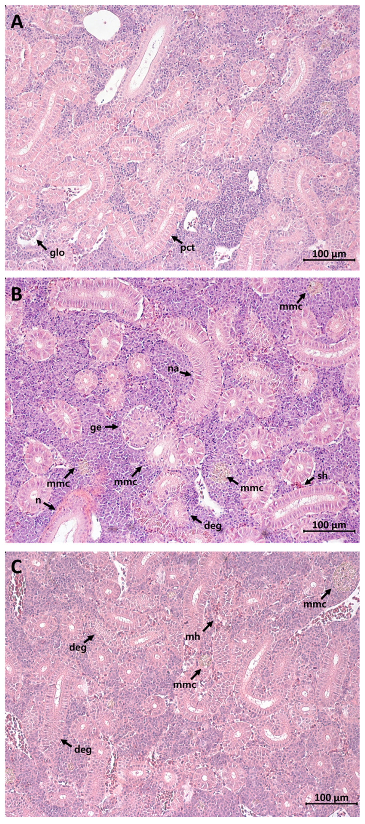 Fishes 08 00583 g002 Fishes 08 00583 g002