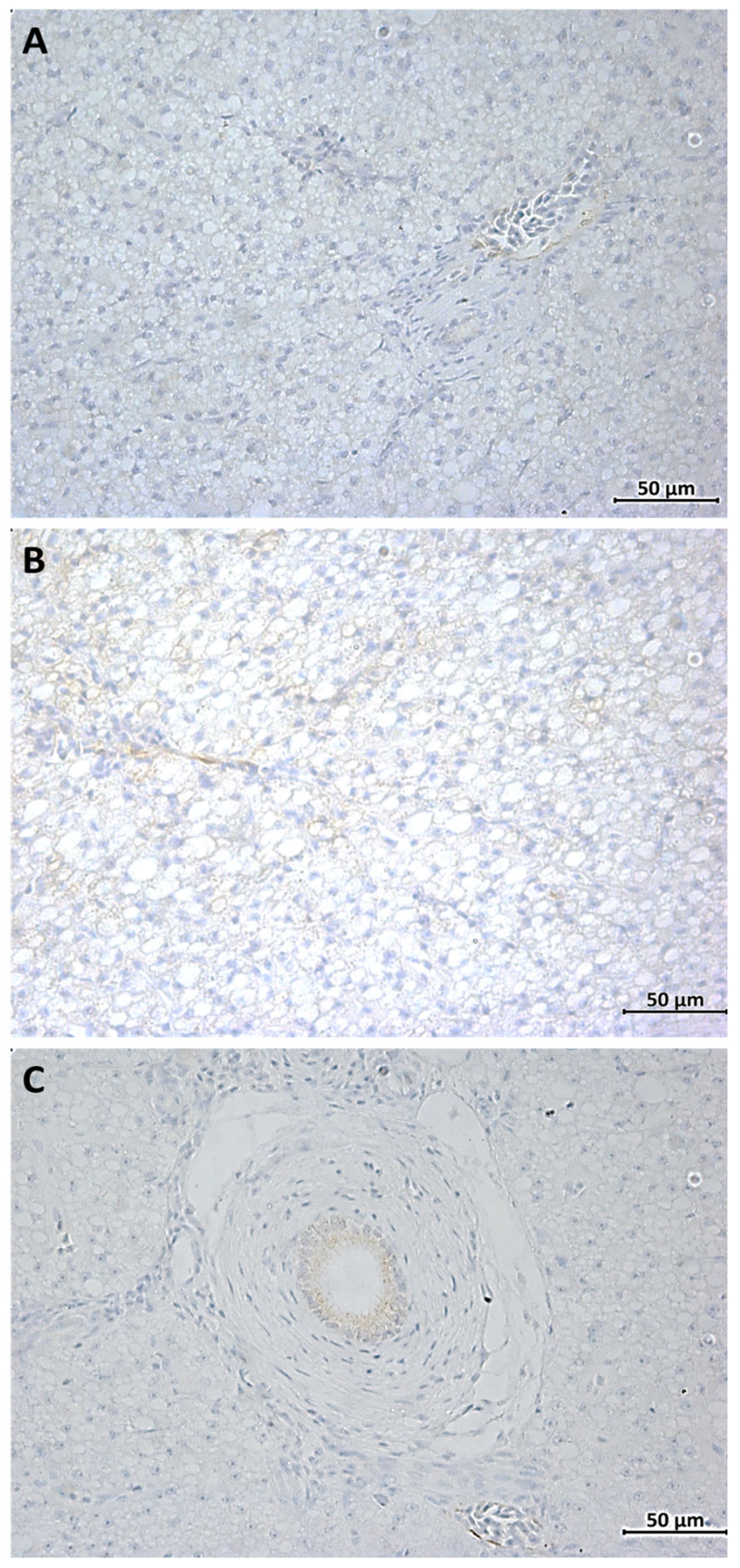 Fishes 08 00583 g003 Fishes 08 00583 g003