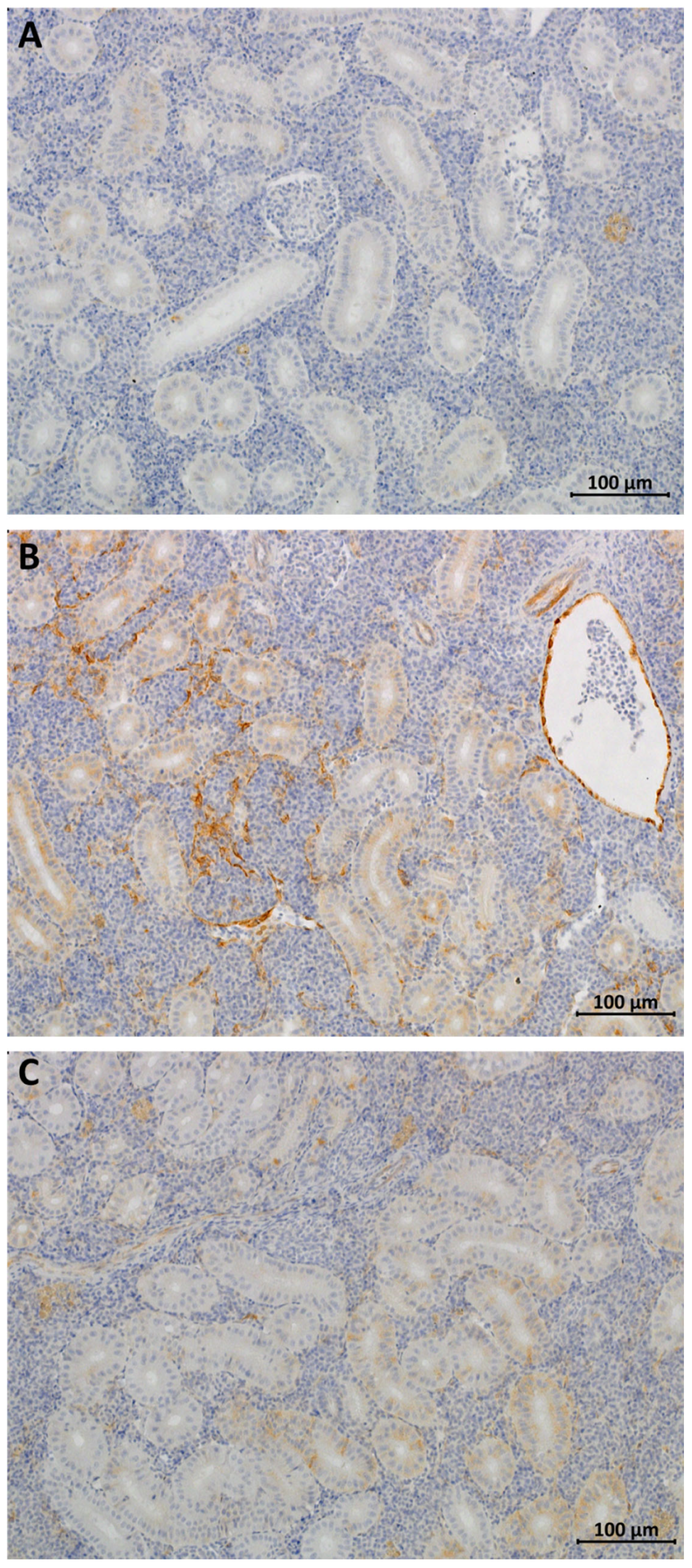 Fishes 08 00583 g004 Fishes 08 00583 g004