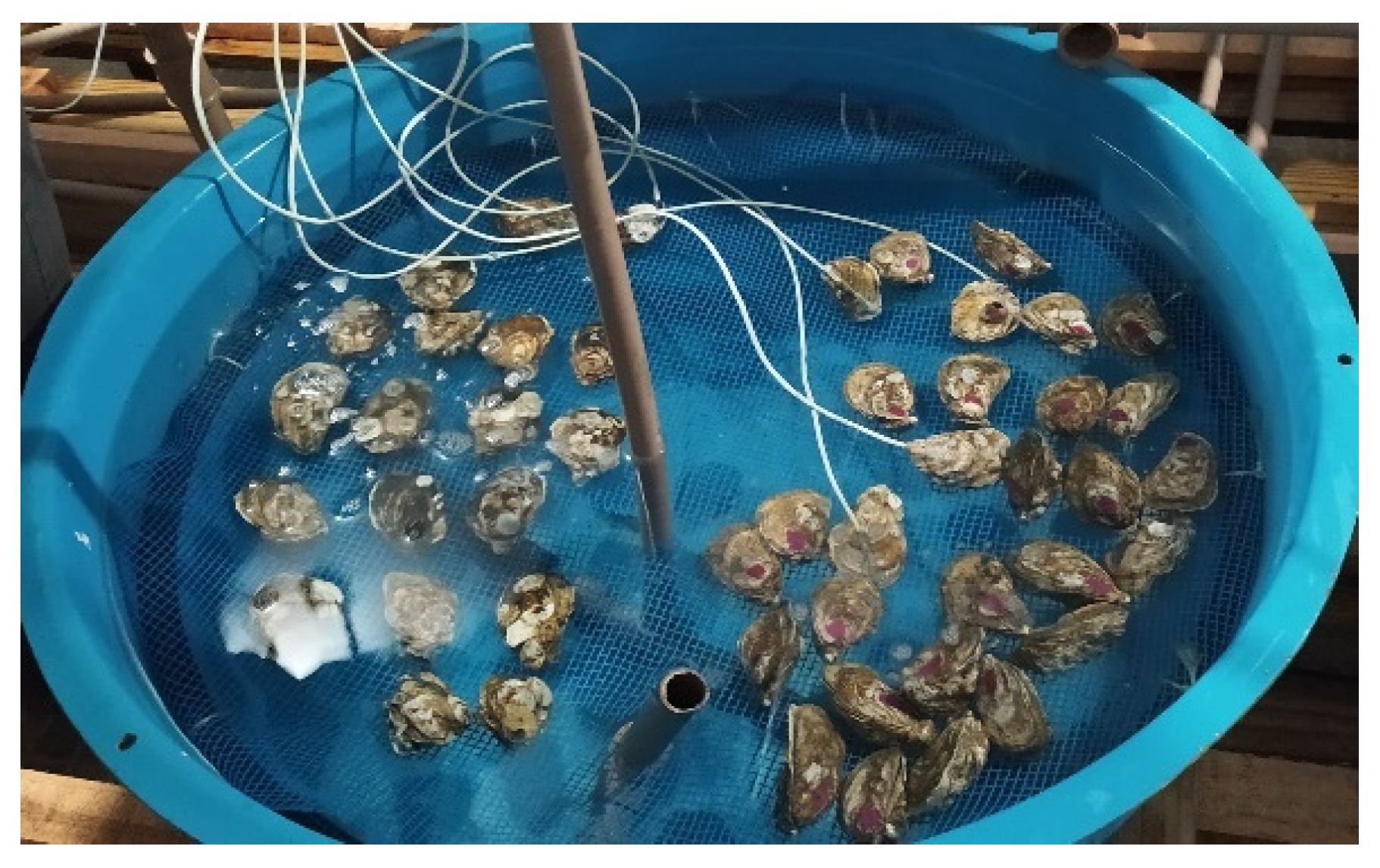 Fishes 08 00586 g001