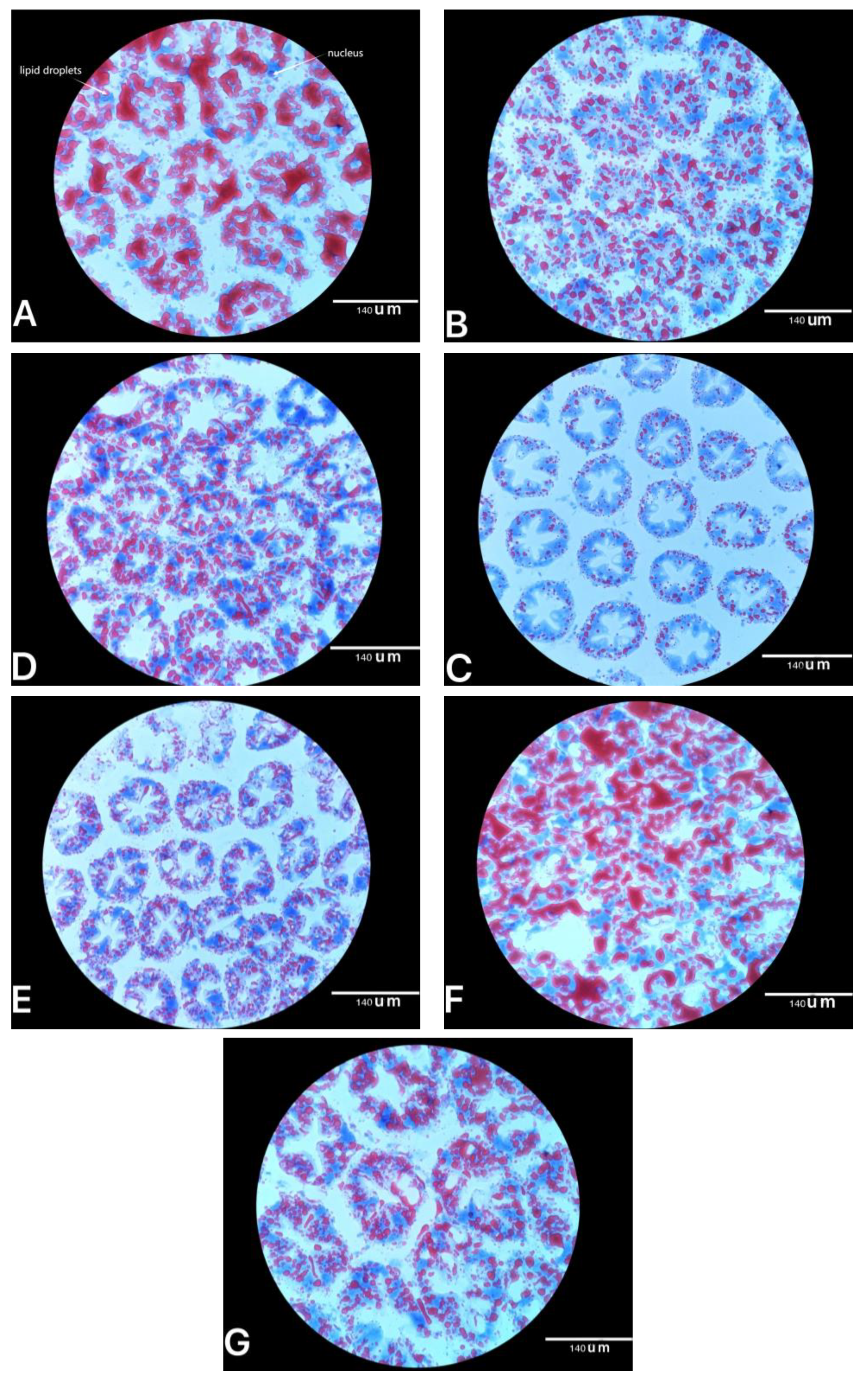 Fishes 08 00587 g001