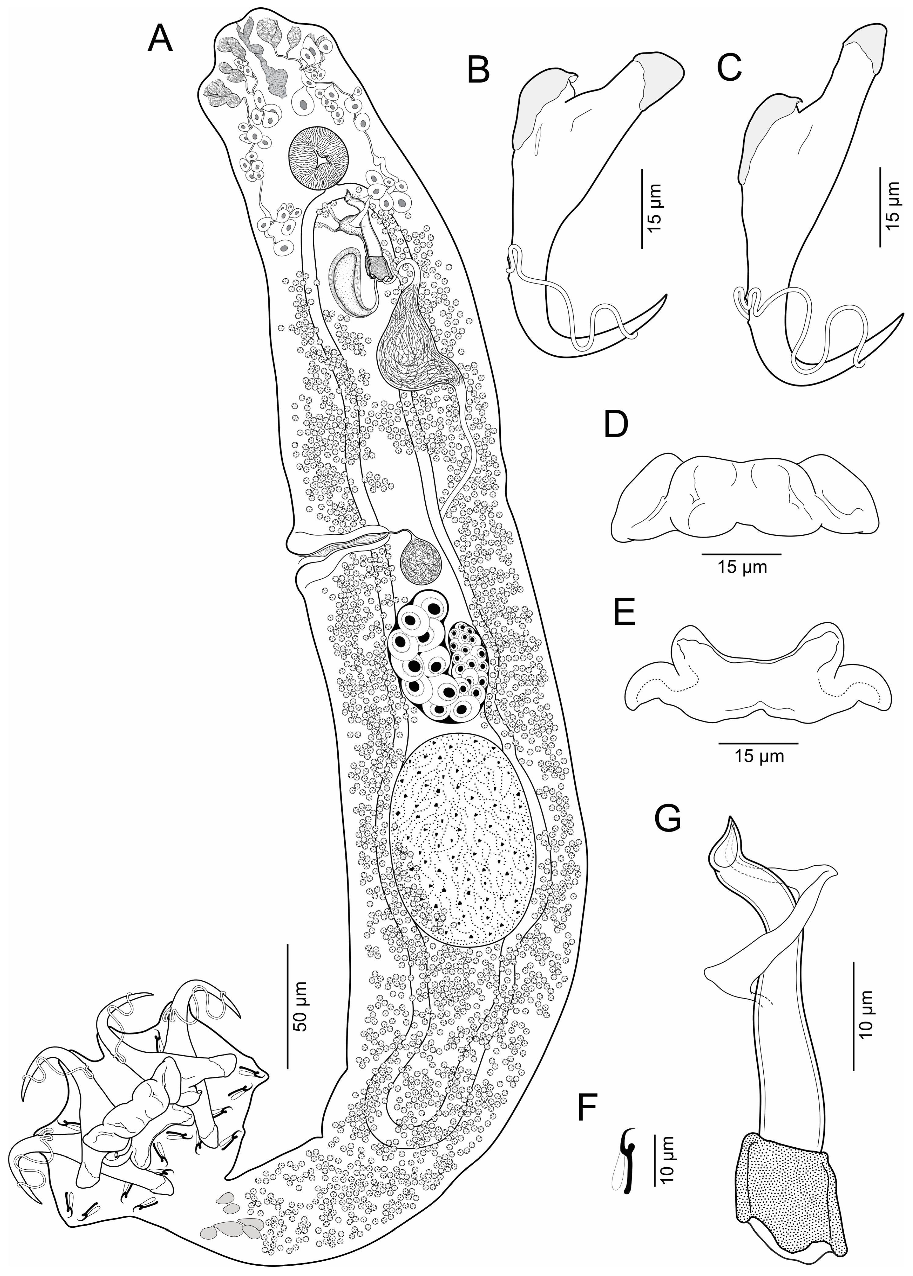 Fishes 08 00588 g001