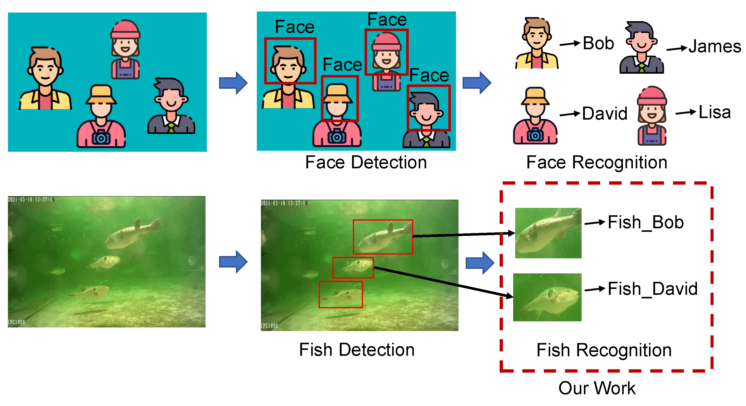 Fishes 08 00591 g001