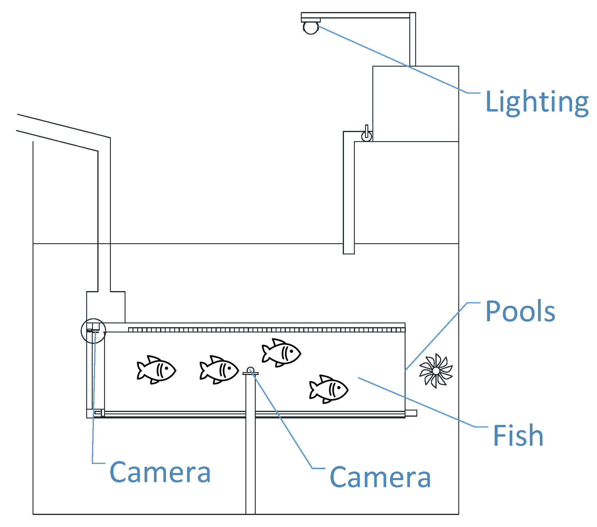 Fishes 08 00591 g002