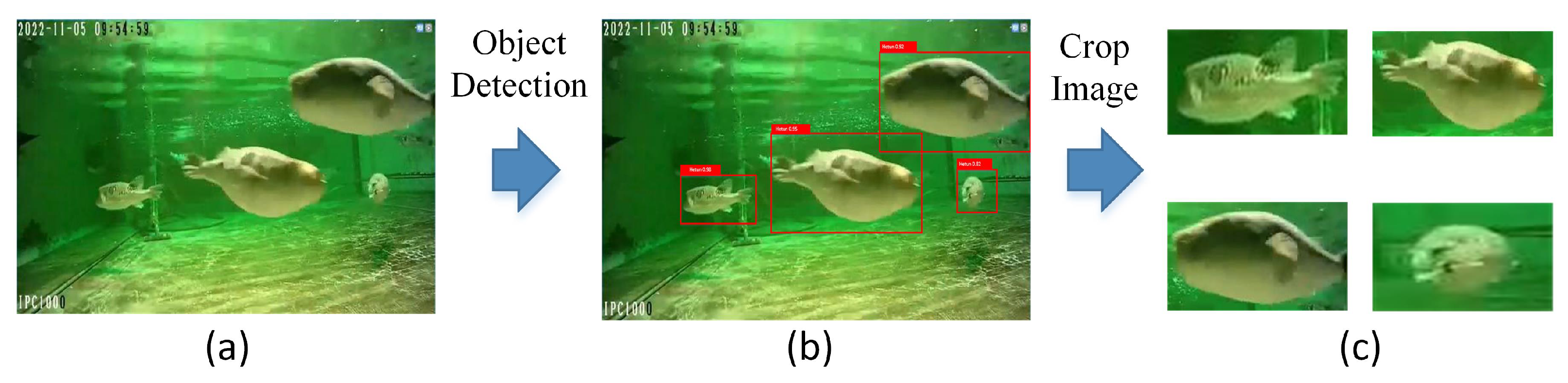 Fishes 08 00591 g003