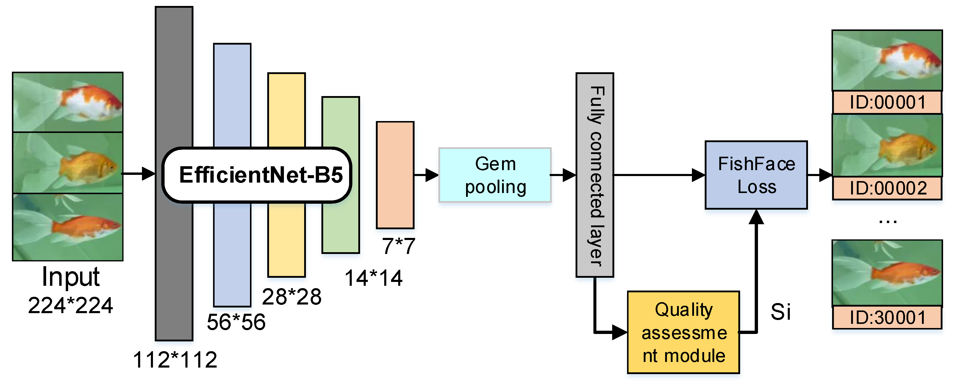Fishes 08 00591 g005