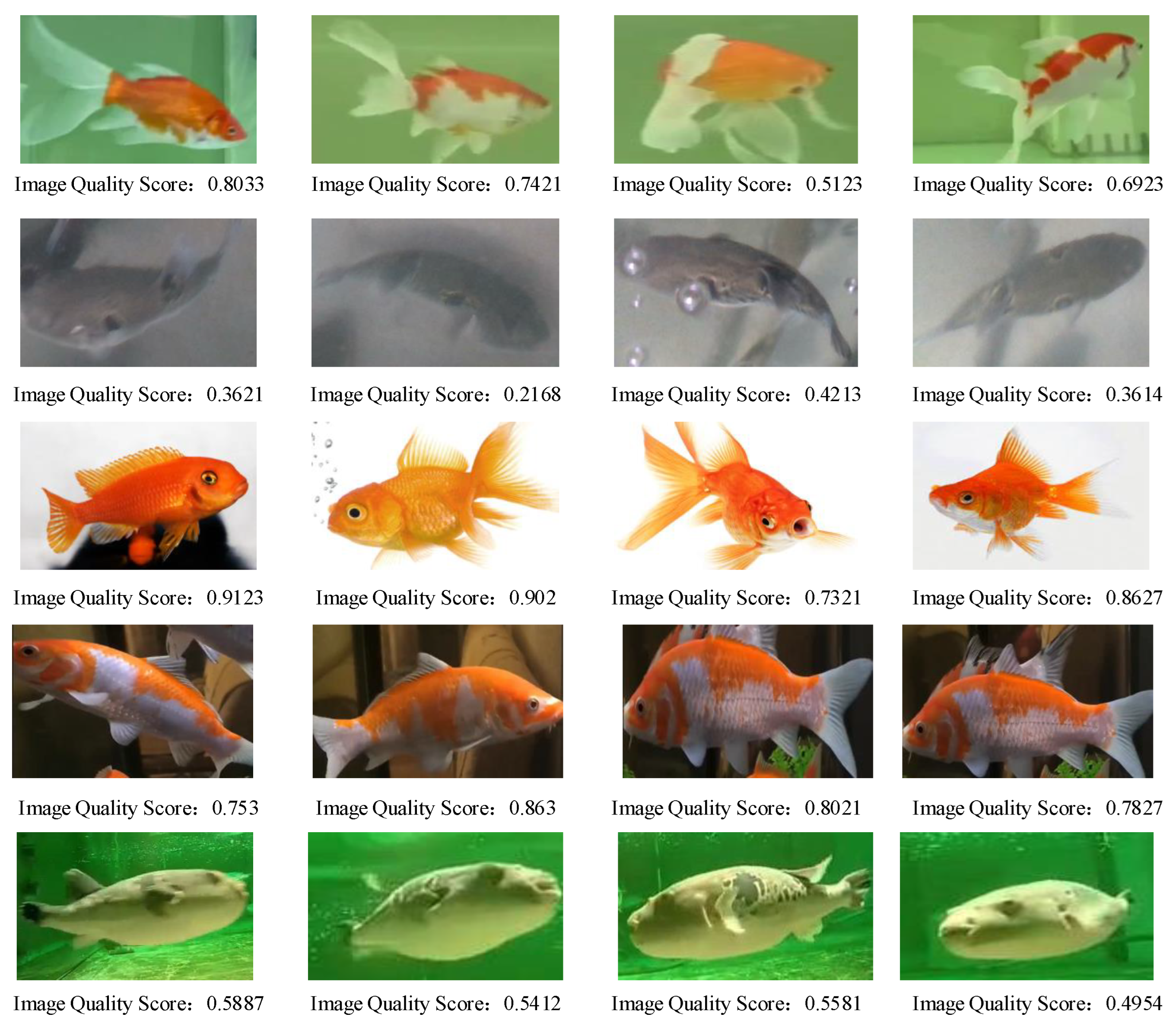 Fishes 08 00591 g008