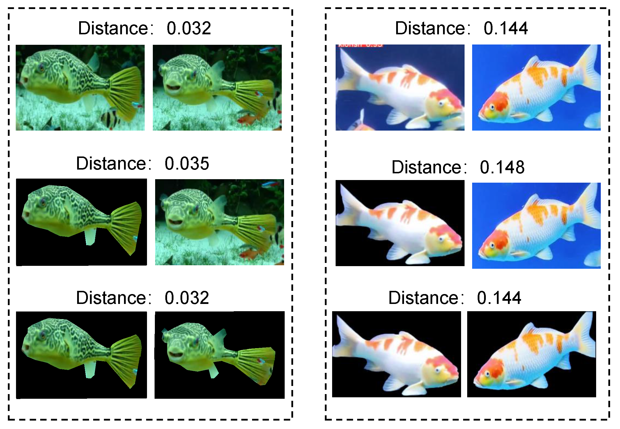 Fishes 08 00591 g011