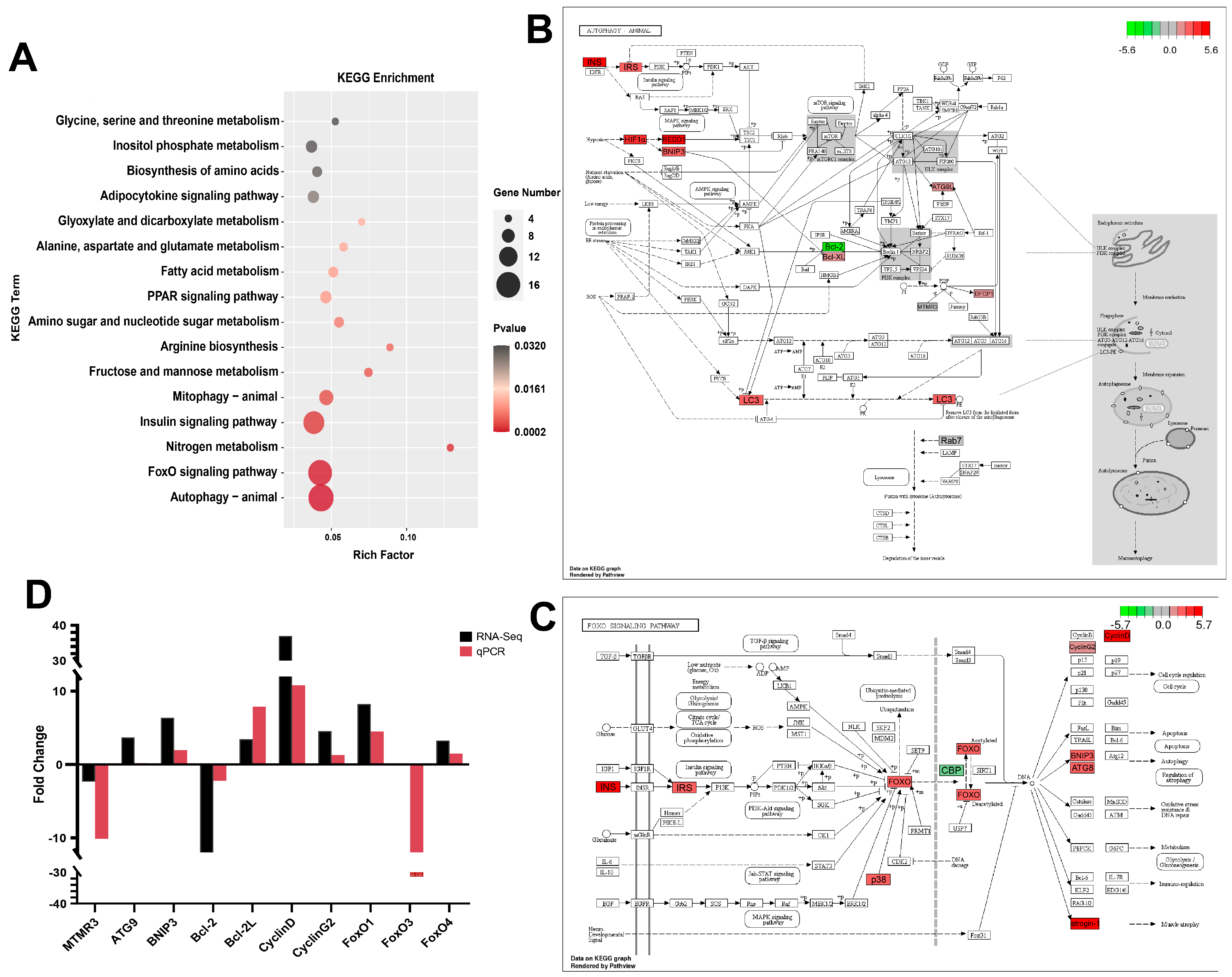 Fishes 08 00595 g005