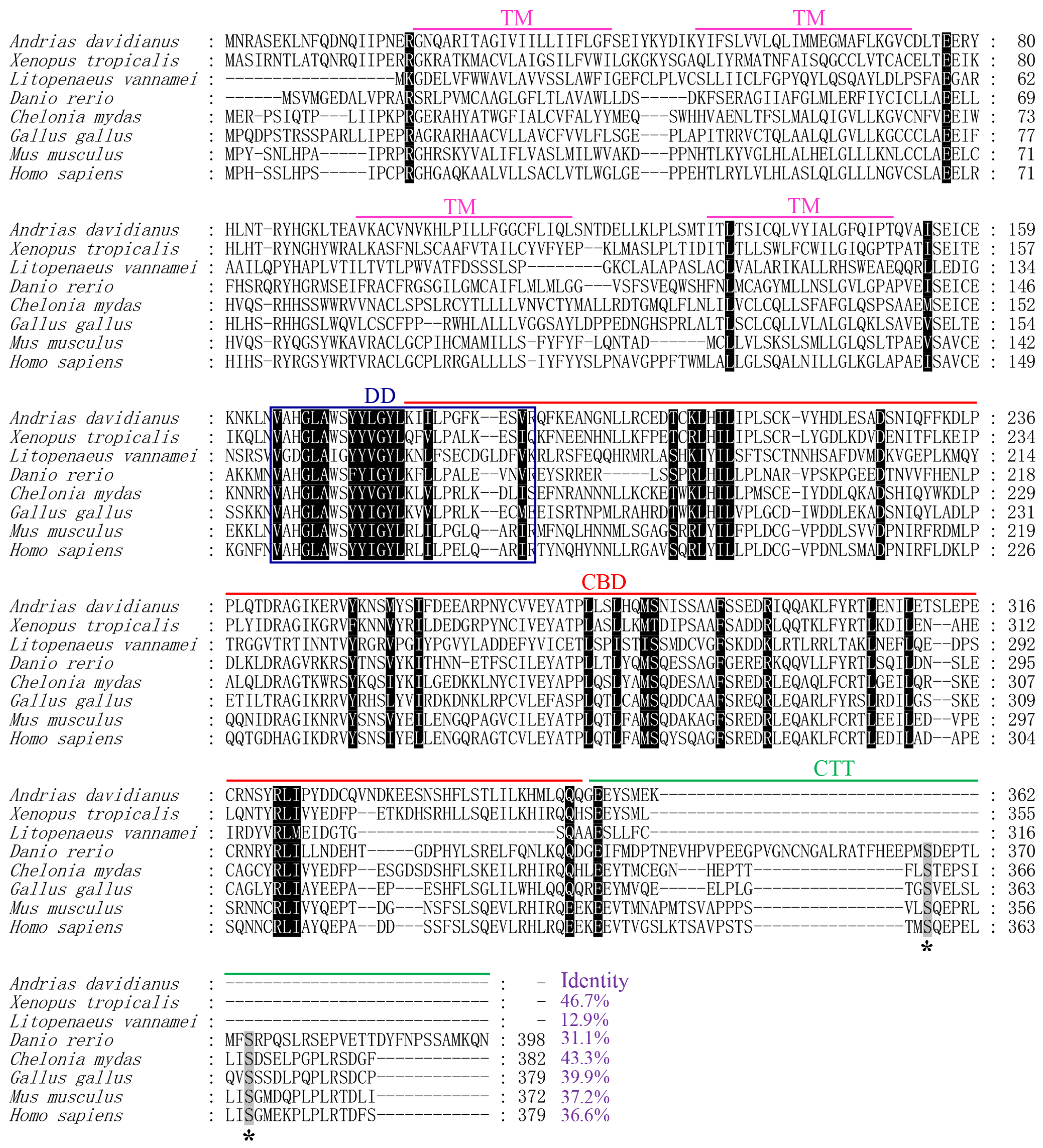 Fishes 08 00597 g001