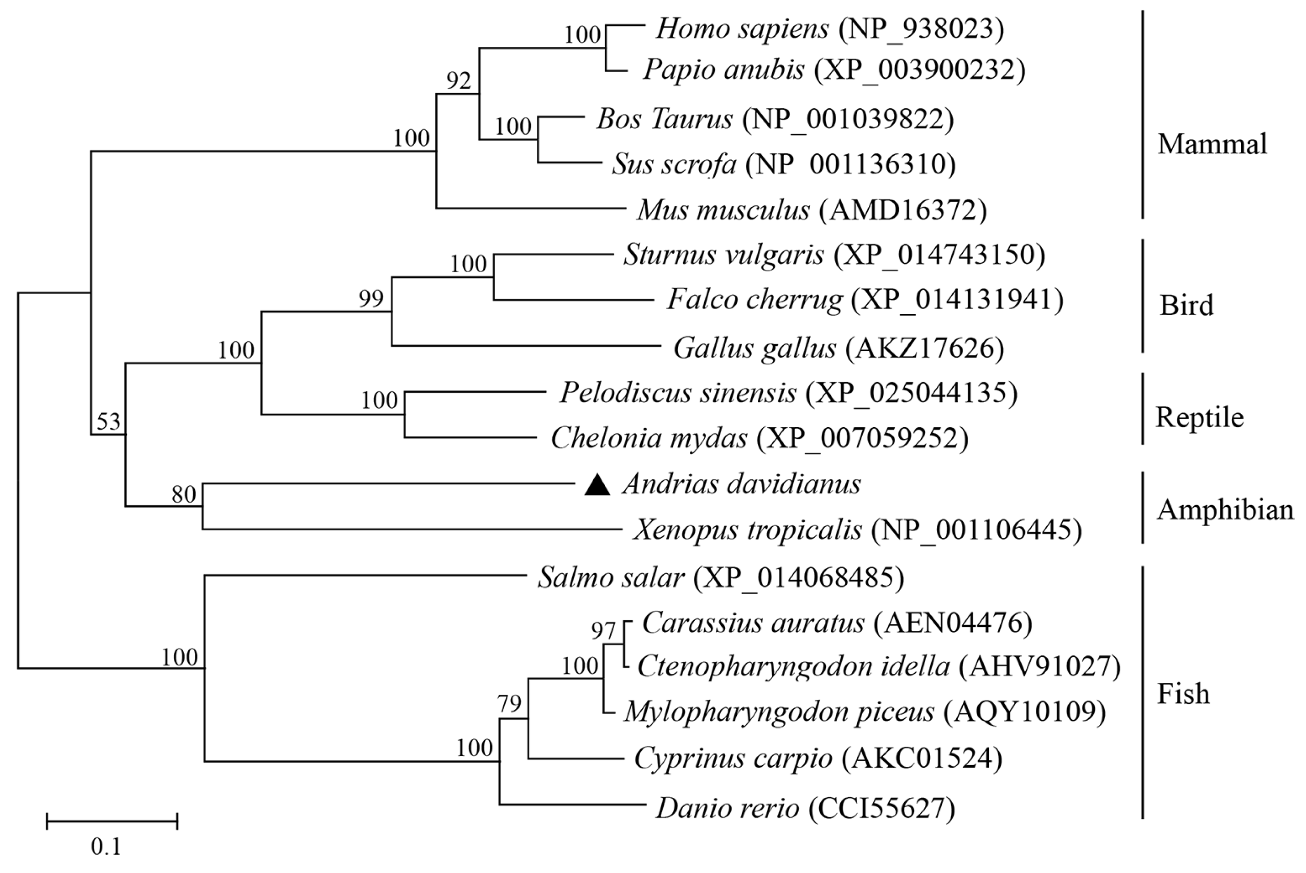 Fishes 08 00597 g002