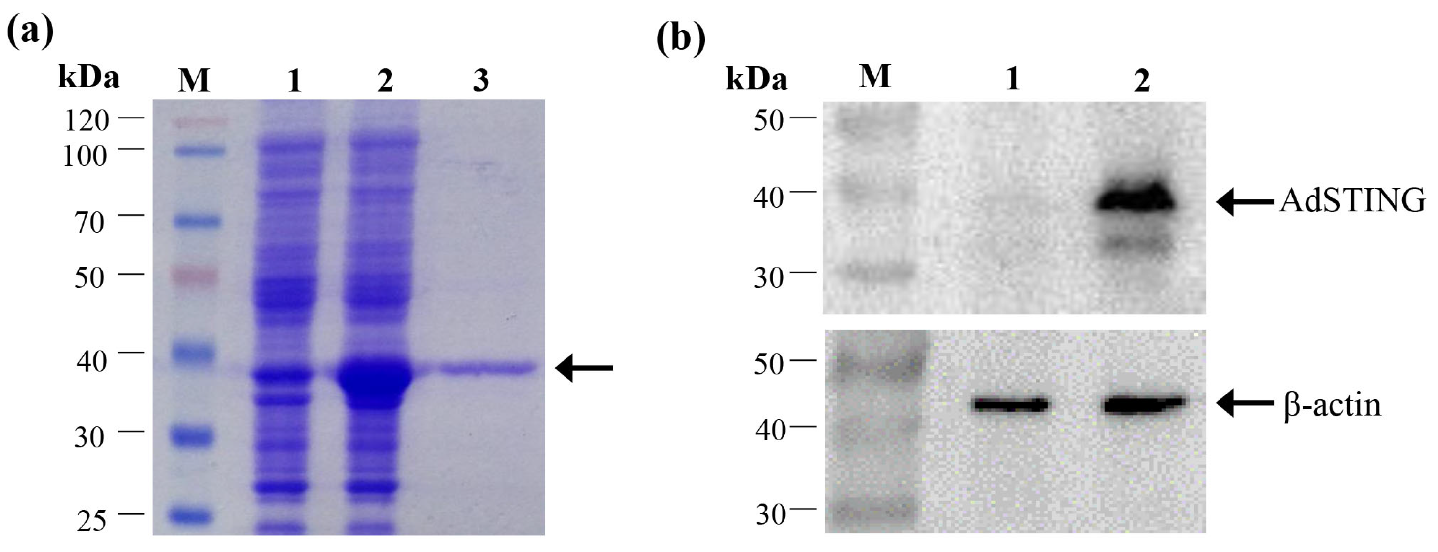 Fishes 08 00597 g005