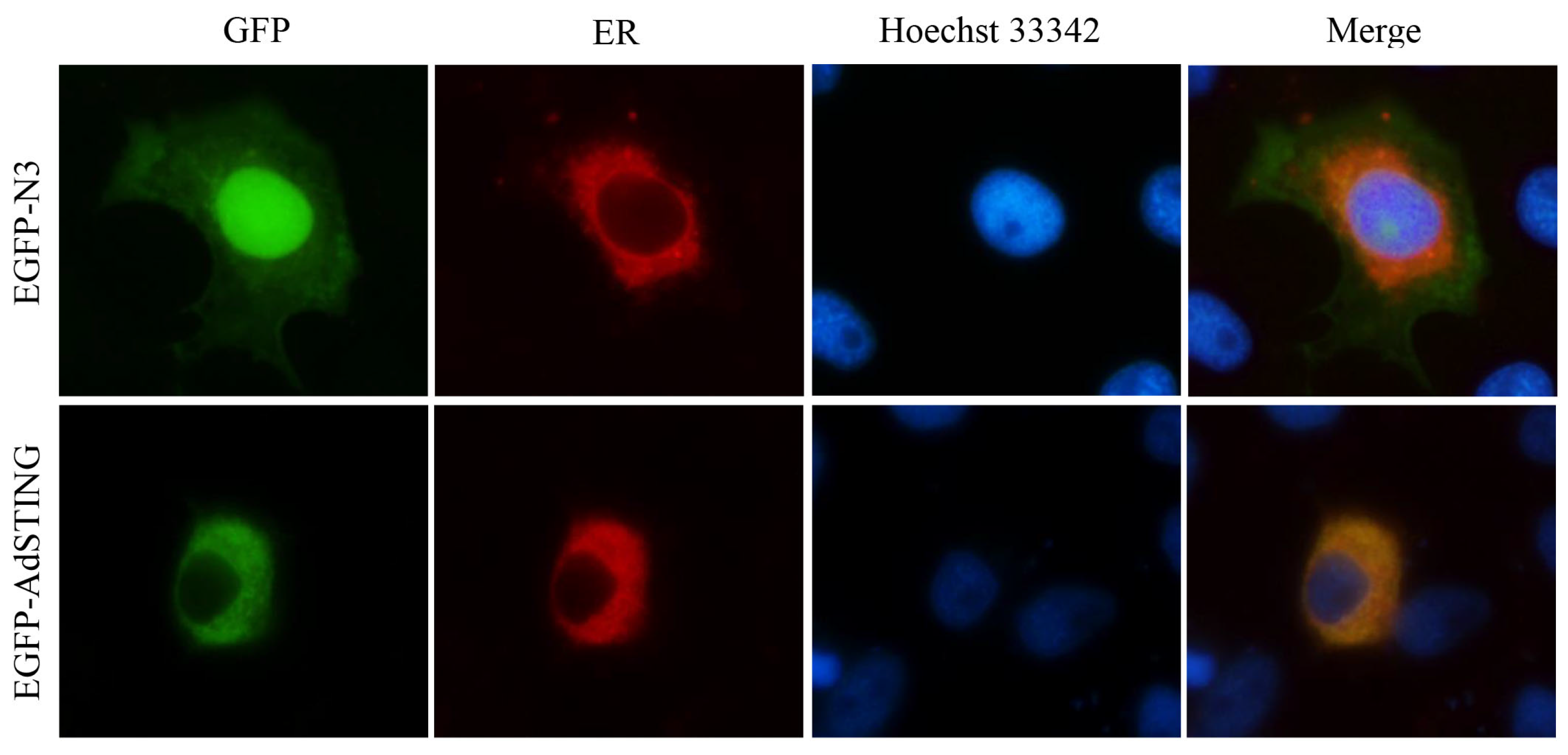 Fishes 08 00597 g006