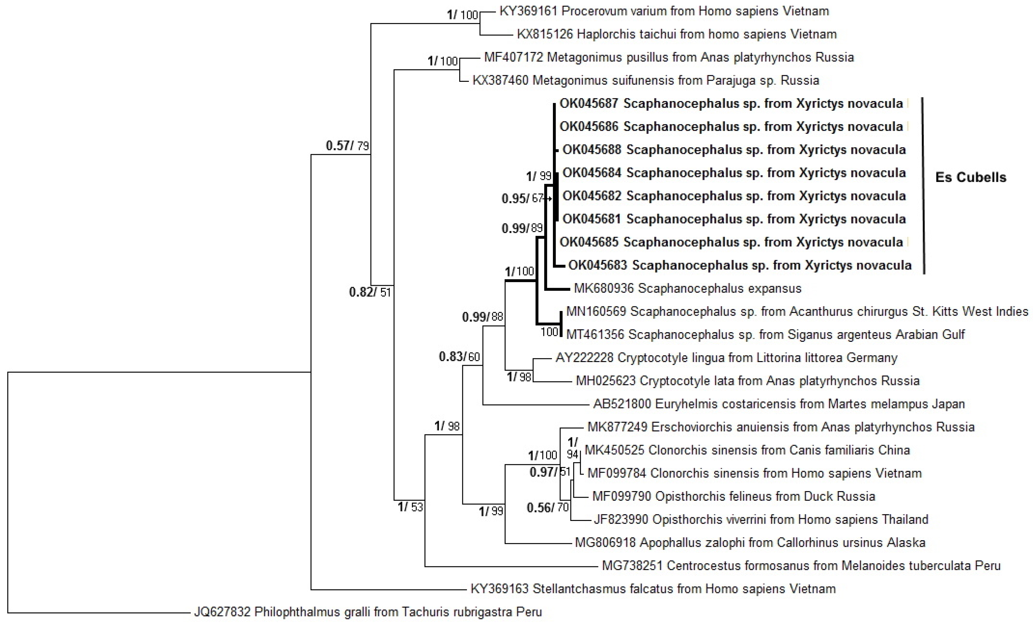 Fishes 08 00600 g004